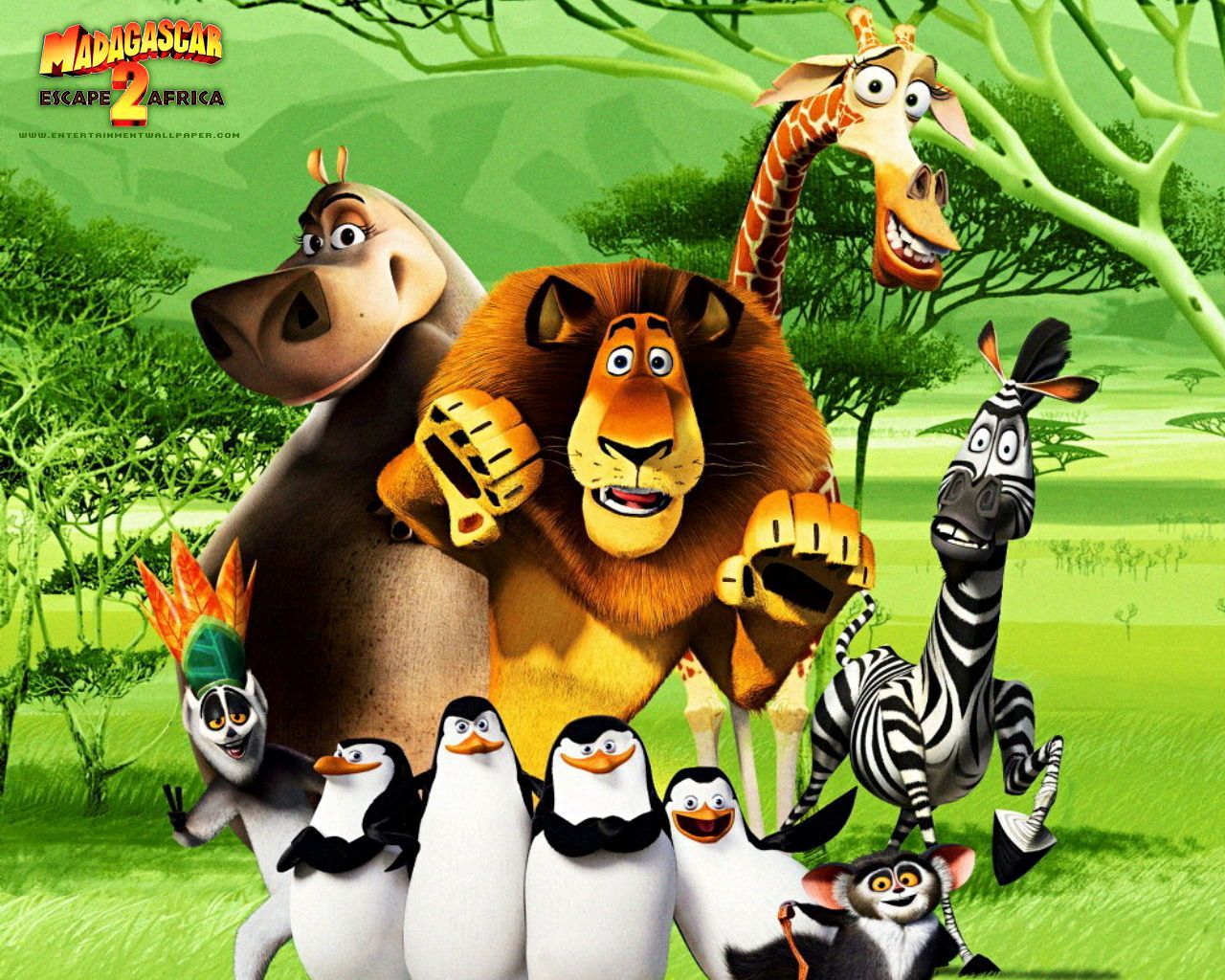 Madagascar Cartoon Wallpaper