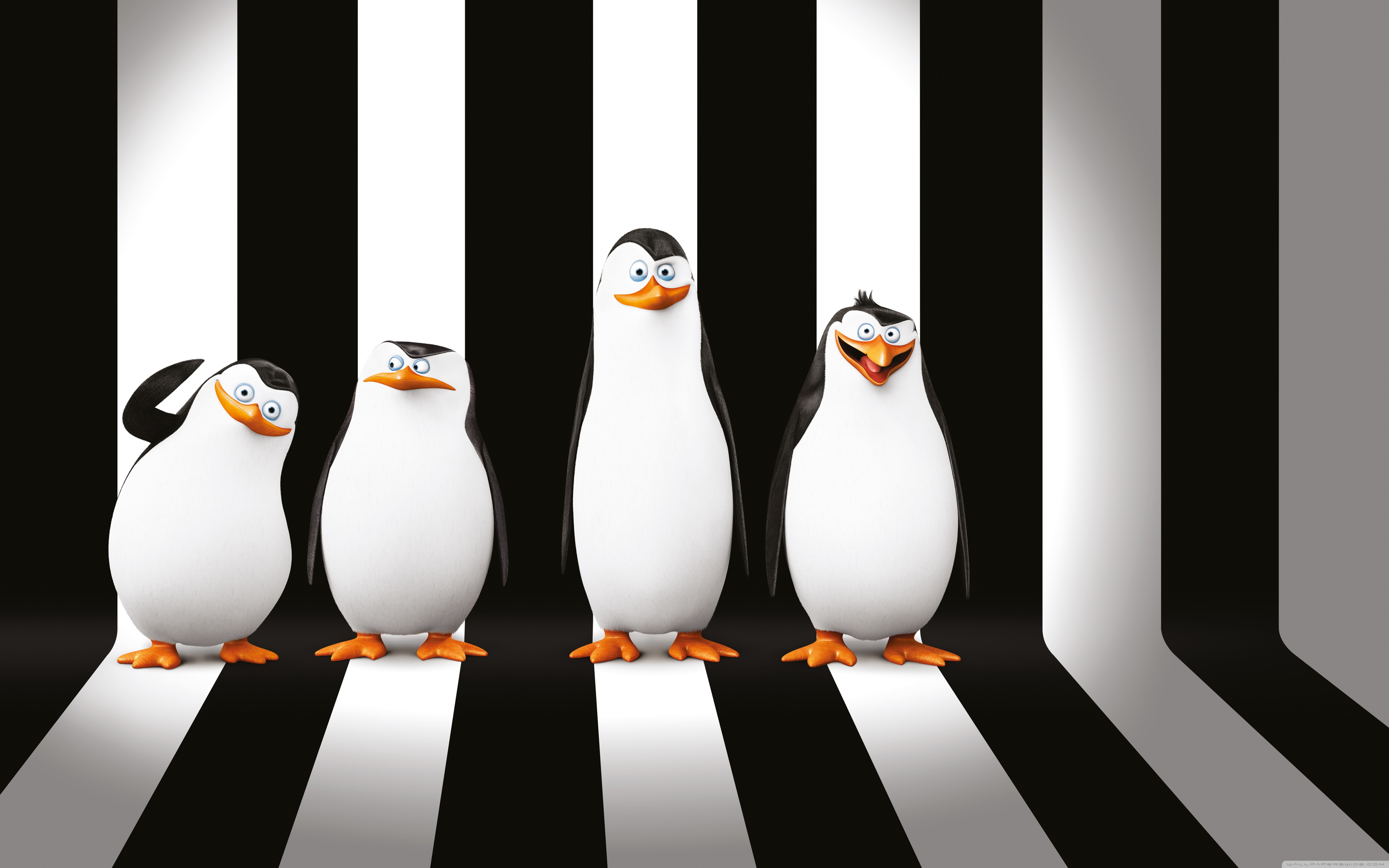 Penguins of Madagascar Movie Ultra HD Desktop Background Wallpaper for 4K UHD TV, Widescreen & UltraWide Desktop & Laptop, Multi Display, Dual Monitor, Tablet