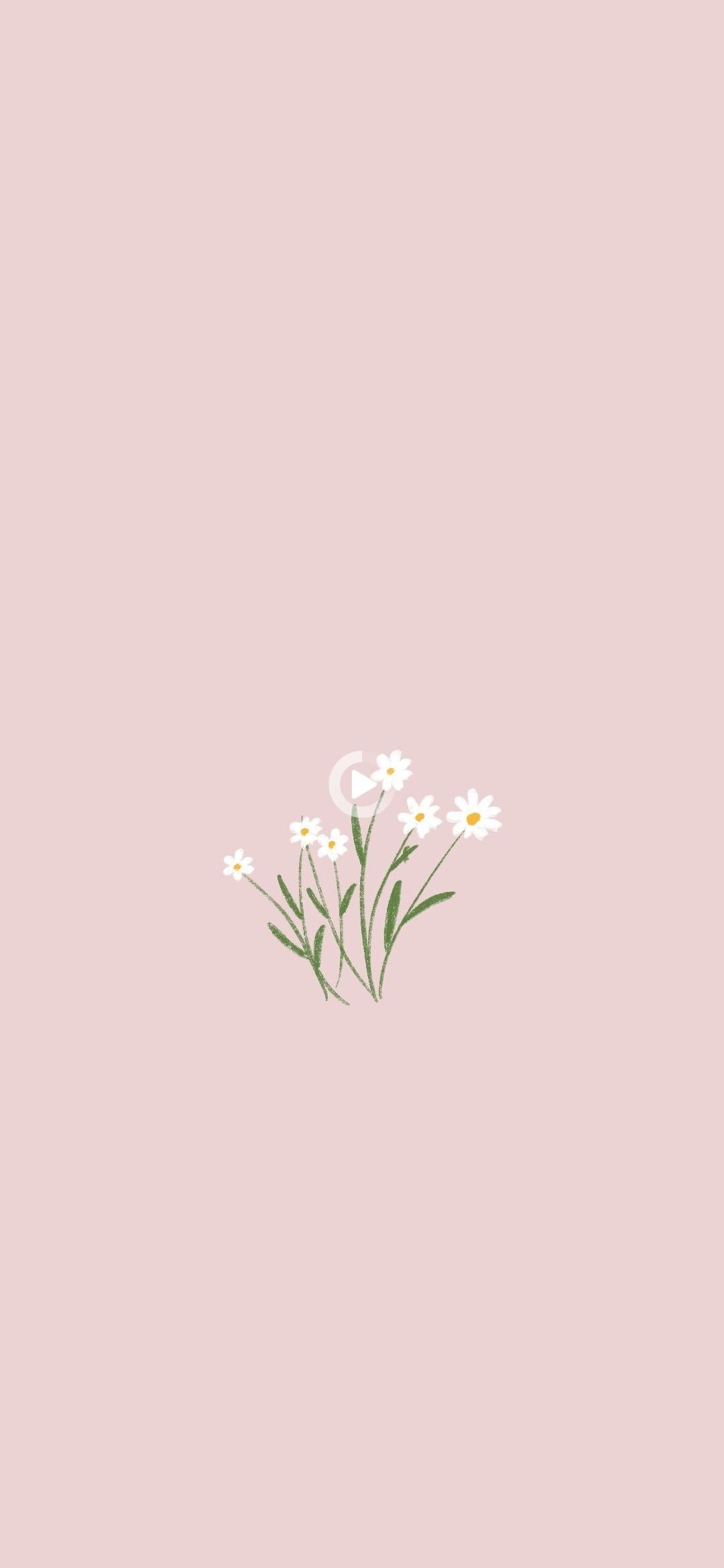 Aesthetic Flowers Simple Wallpaper
