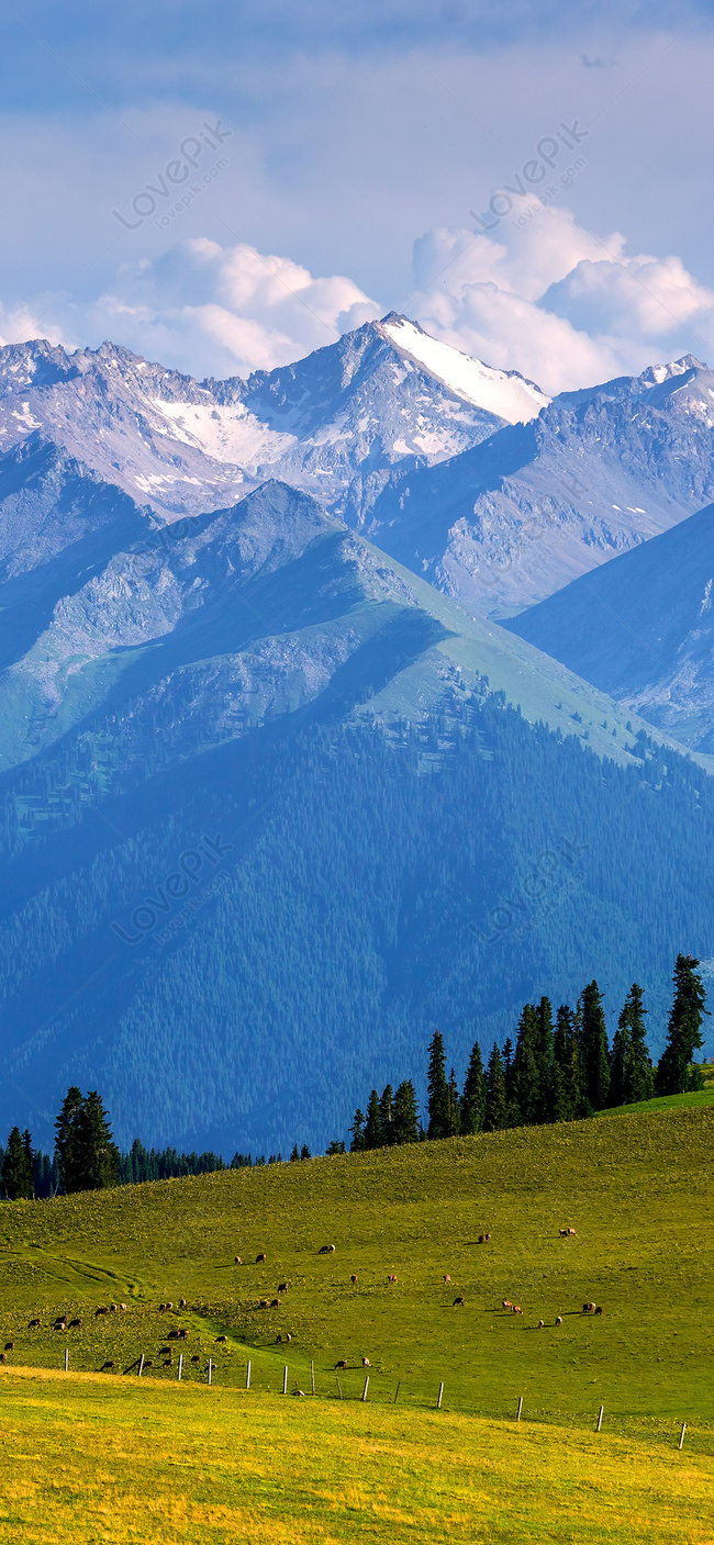 Snow Mountain Mobile Wallpaper Image Free Download