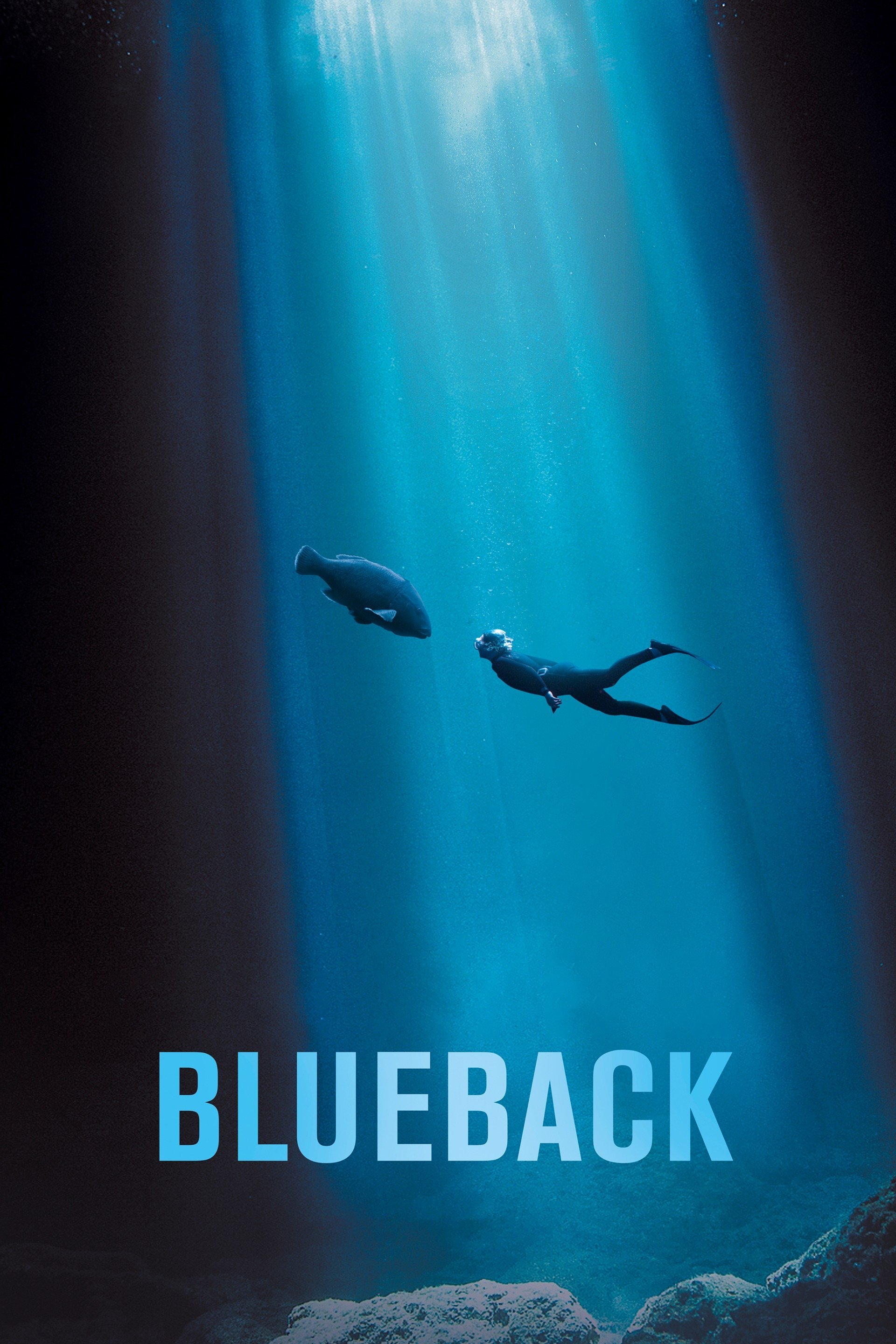 Blueback Movie Wallpapers - Wallpaper Cave