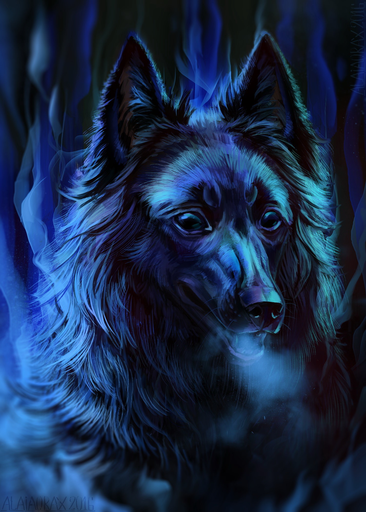 Groenendael, Dogs, Painting Art, Night, Head, Glance, Shepherd Gallery HD Wallpaper