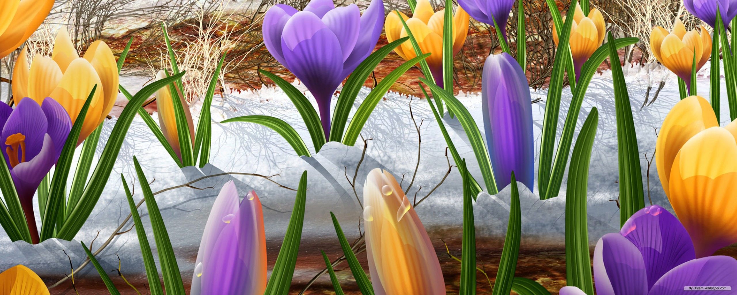 Spring Dual Screen Wallpaper