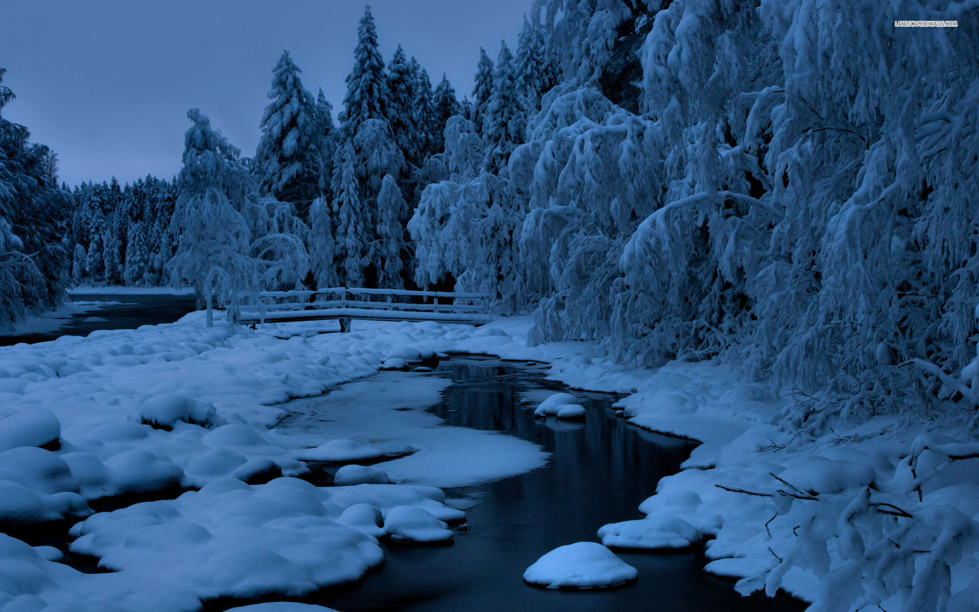 Blue Winter Trees Creek Snowy desktop PC and Mac wallpaper