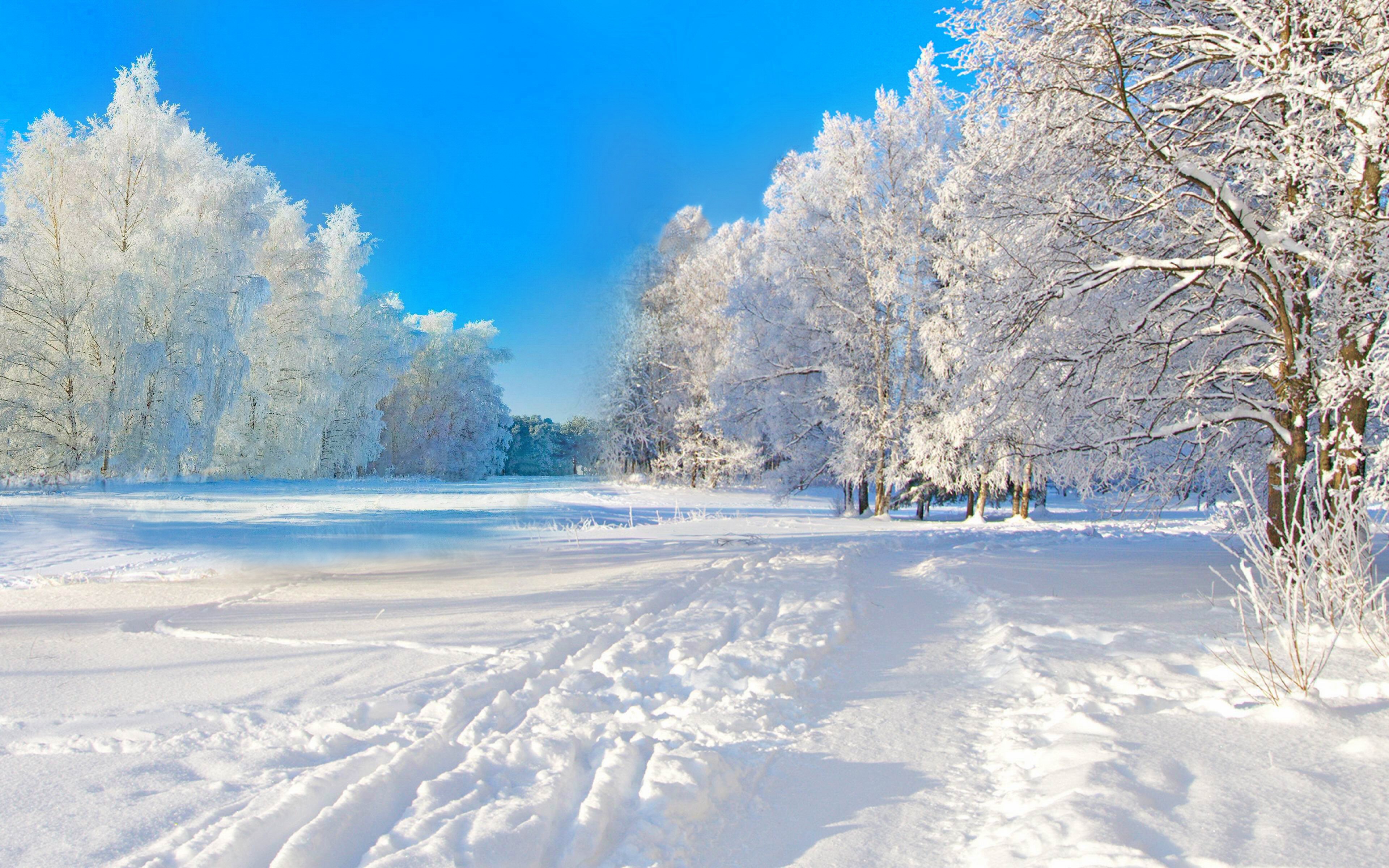 Beautiful Winter Landscape With Frost Covered Trees Under A Blue Sky Desktop Wallpaper 1024x1024