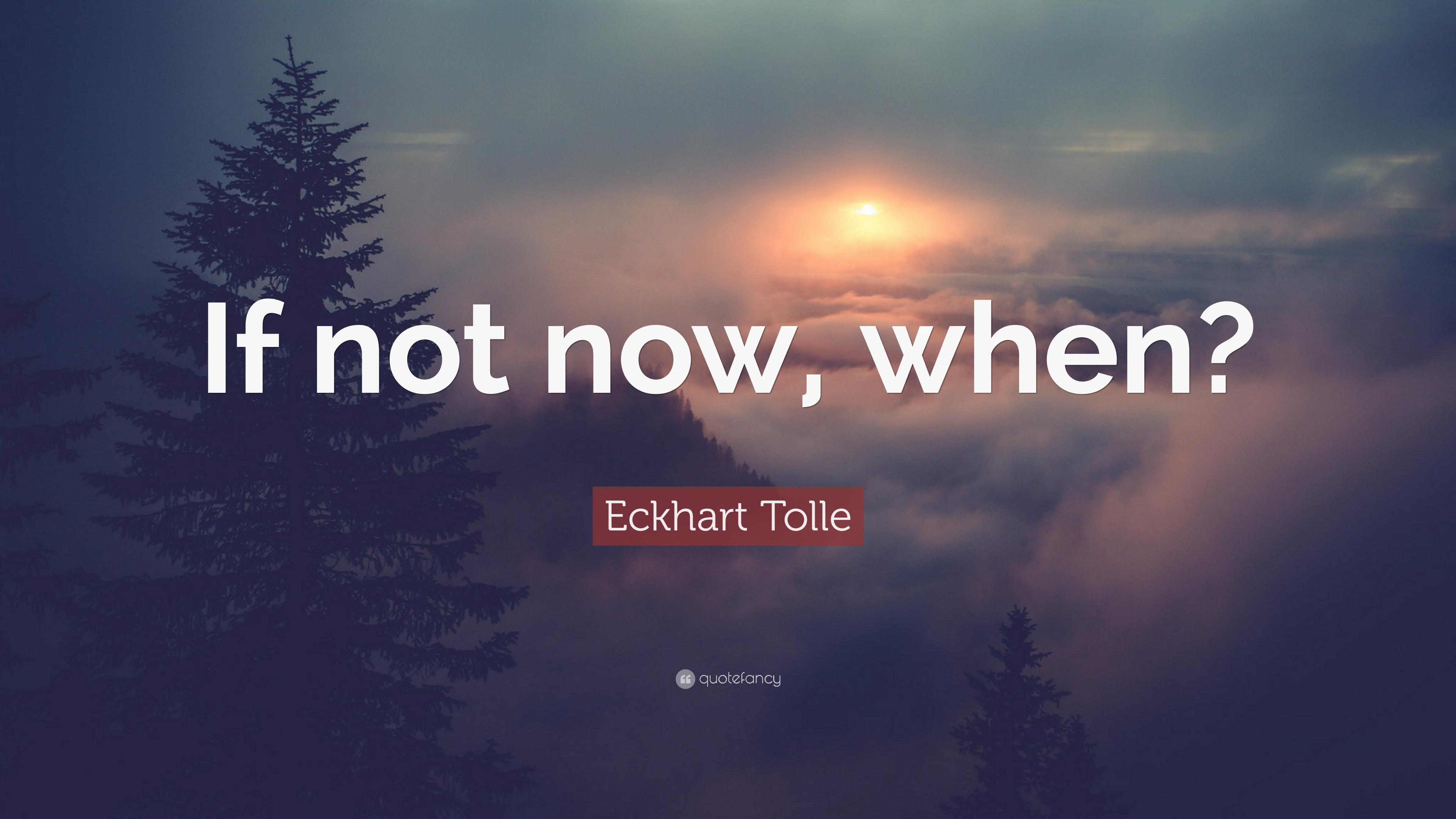 Eckhart Tolle Quote: “If not now, when?”