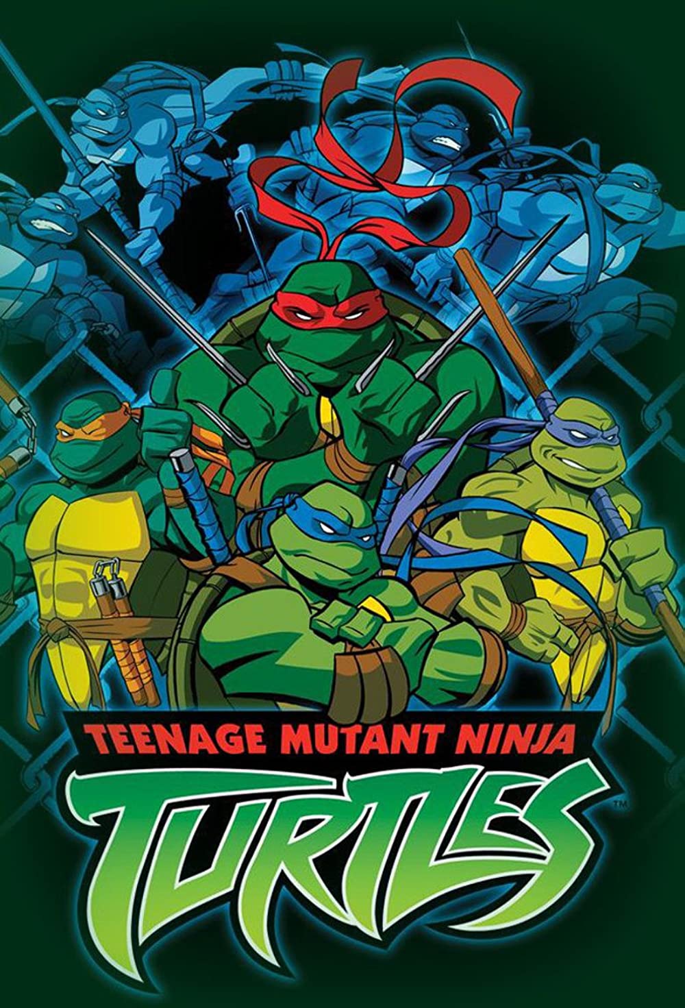Teenage Mutant Ninja Turtles (TV Series 2003–2010)