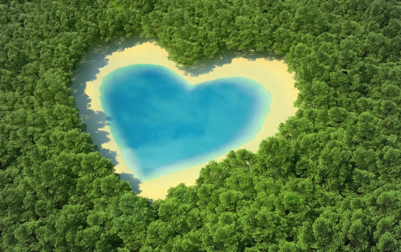 Water Heart & Sand Forest wallpaper. Water Heart & Sand Forest