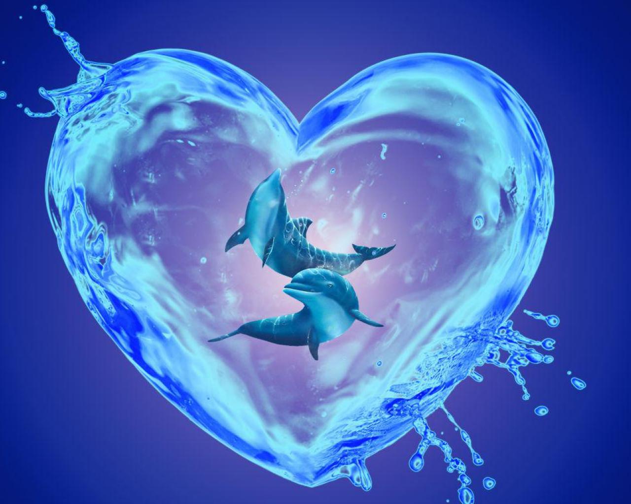 Dolphin Heart Wallpaper