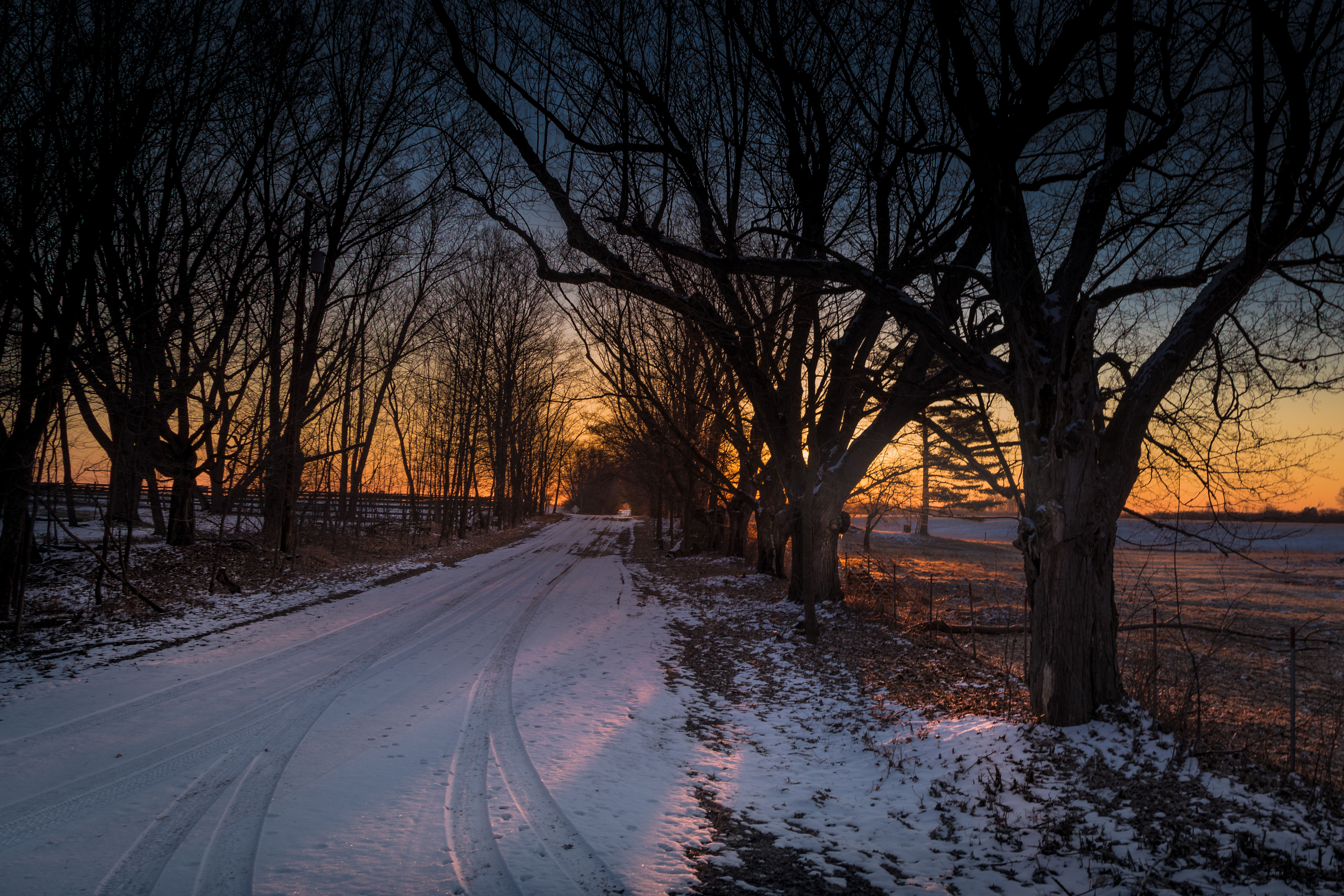 Wallpaper, canoneos5dmarkiv, sunrise, amanecer, Clare, Michigan, corner, dirtroad, gravelroad, country, winter, march, midmichigan, snow, nieve, cold, Sun, treelined 5248x3499