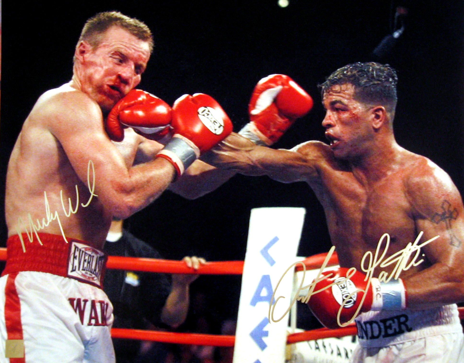 gatti ward. Arturo gatti, Boxing image, Fighting sports