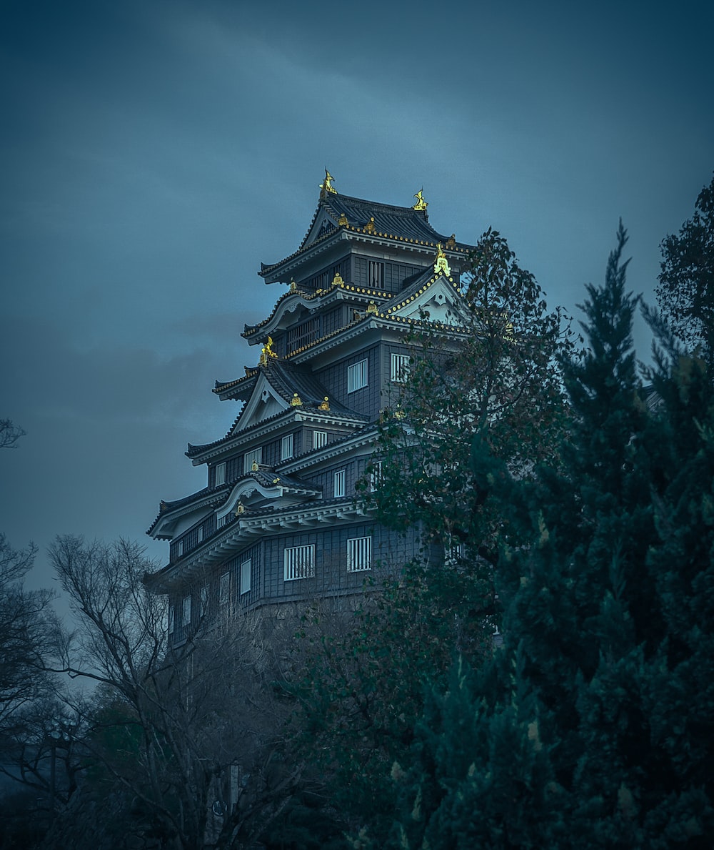 Japanese Castle Picture. Download Free Image