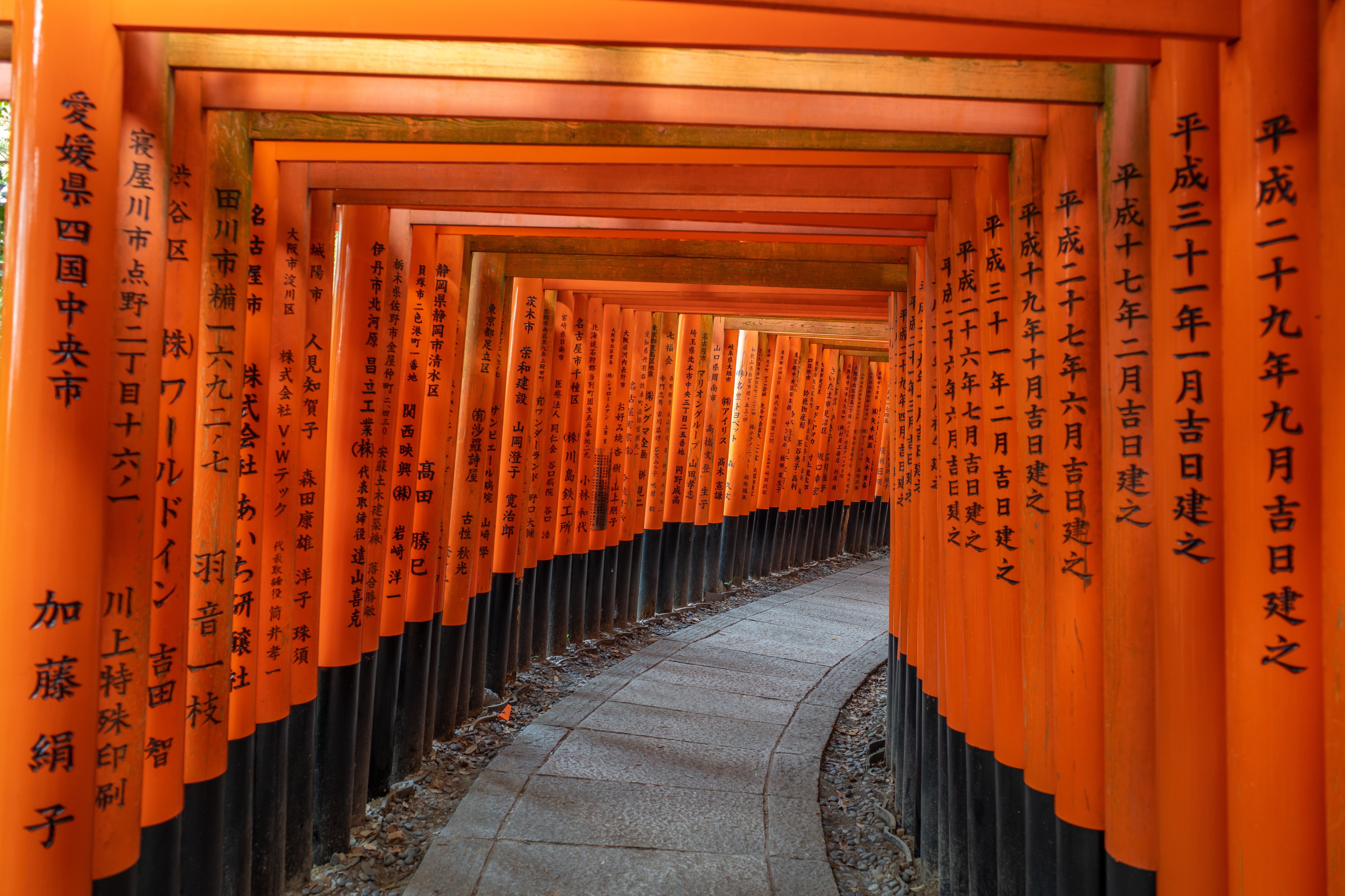 Wallpaper / Fushimi Inari Taisha, Kyoto, Japan, Torii, Asian Architecture, Pathway Free Download