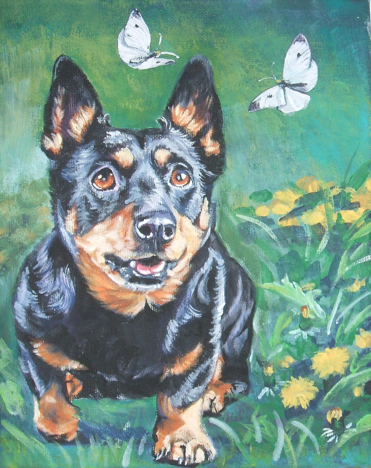 Drawn Lancashire Heeler dog photo and wallpaper. Beautiful Drawn Lancashire Heeler dog picture