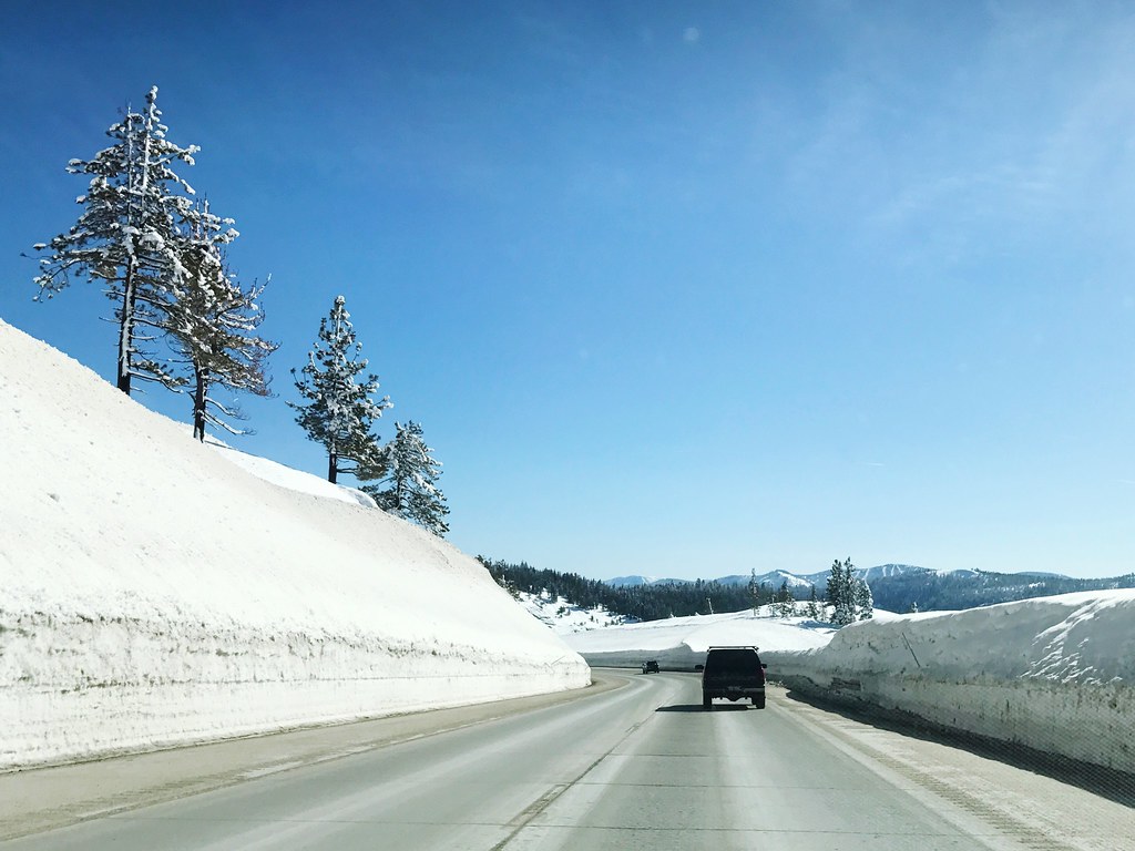 Snow Cold Temperature Winter Tree Nature Blue Transportati