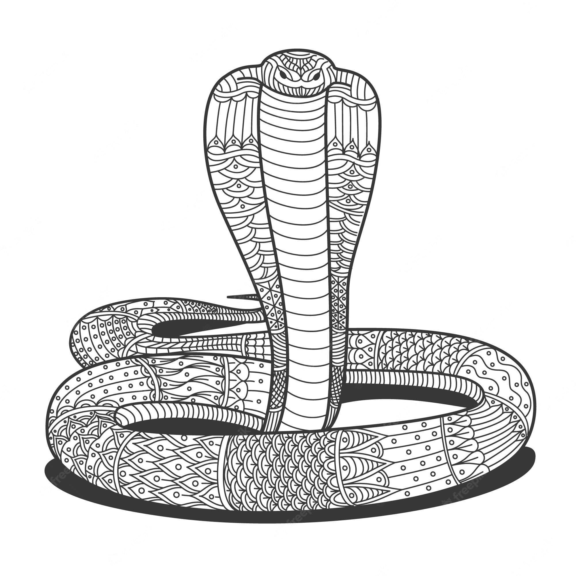 How to Draw a Snake (King Cobra) VIDEO & Step-by-Step Pictures