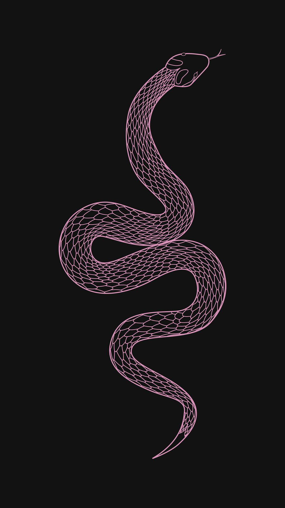 Free download Download Pink King Cobra Art Wallpaper [1080x1920] for your Desktop, Mobile & Tablet. Explore Pink Snake Wallpaper. Snake Wallpaper, Cool Snake Wallpaper, Solid Snake Wallpaper