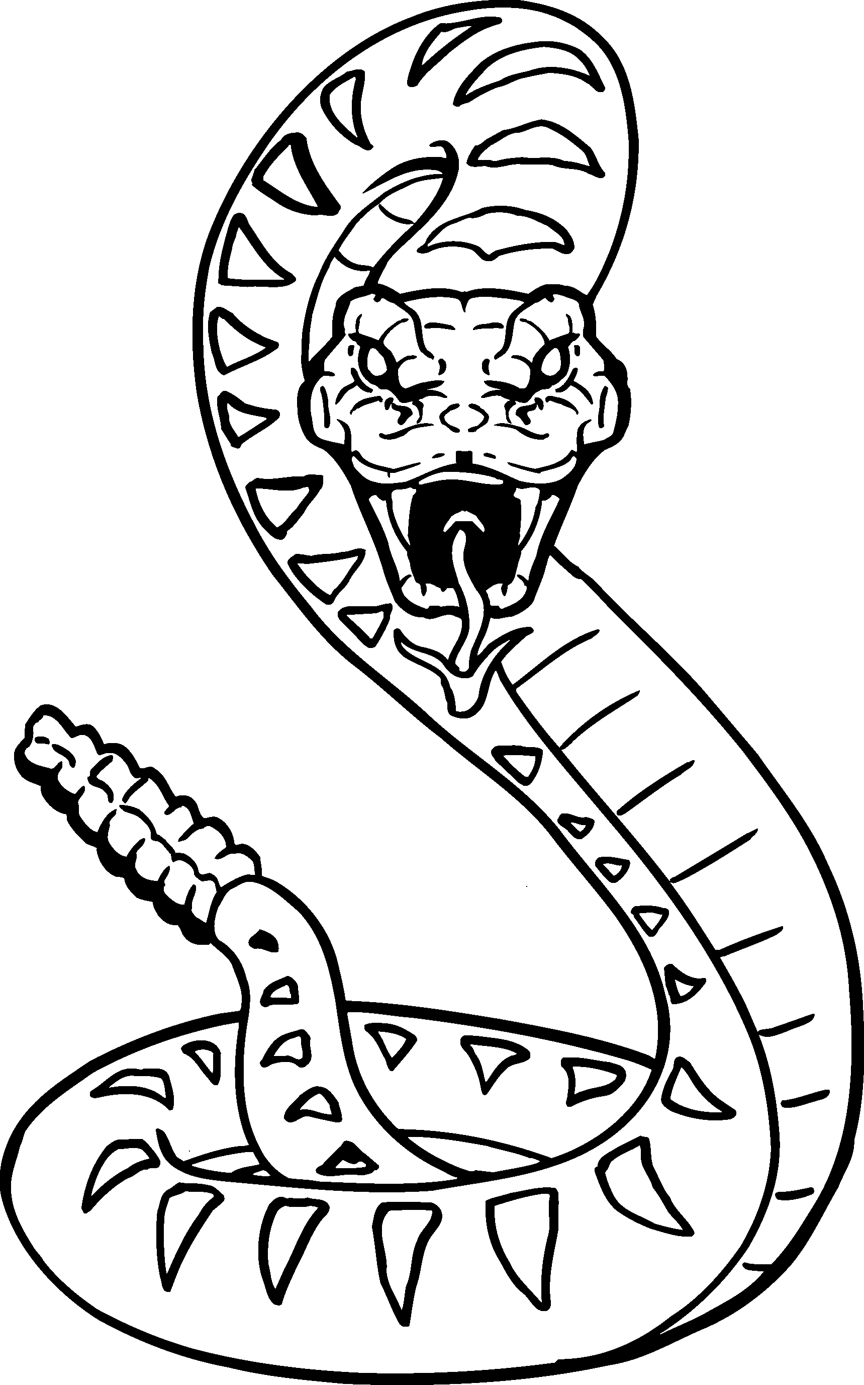 Drawing Image Of Snake