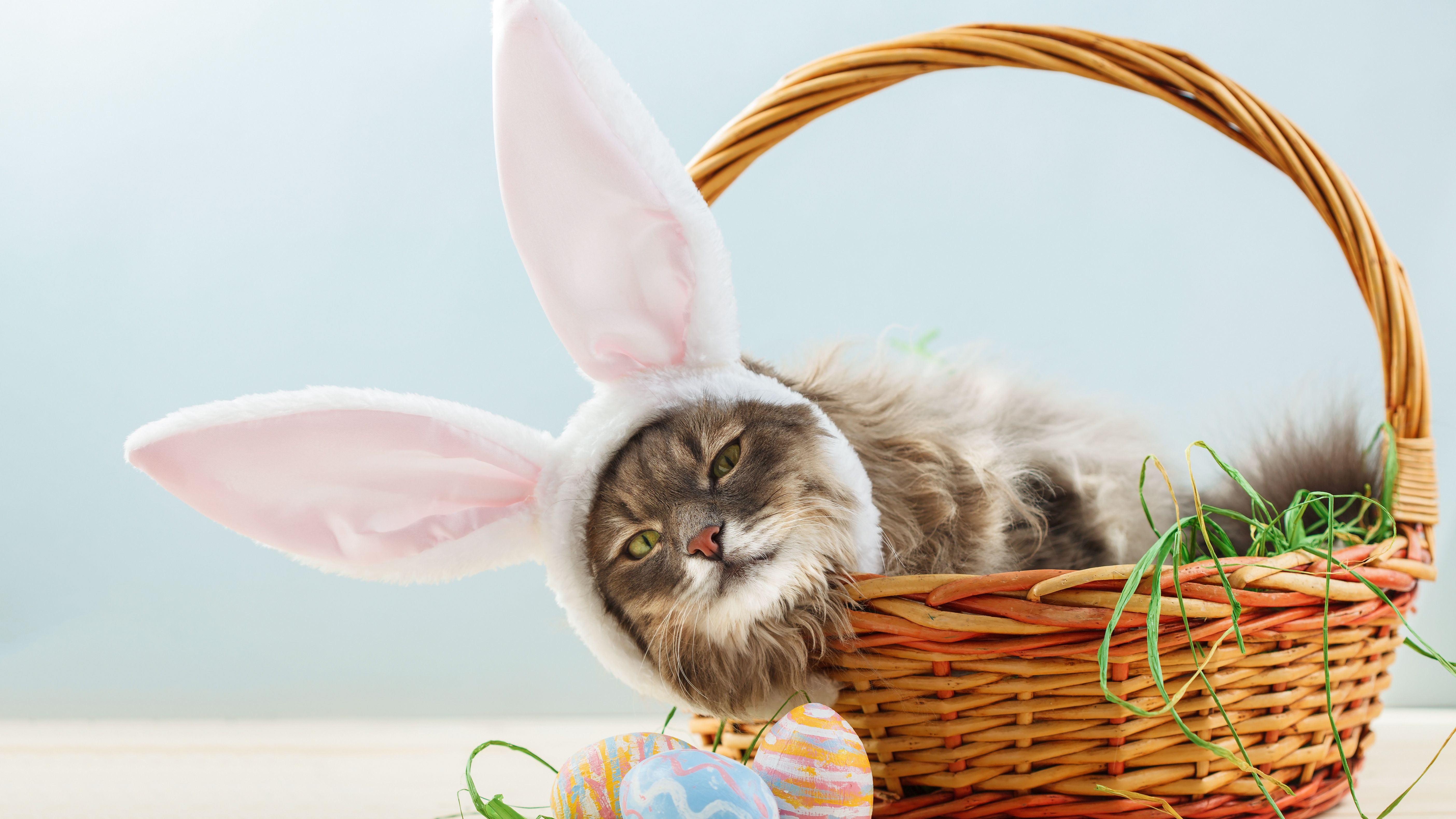 You can get free family and pet photo with the Easter Bunny