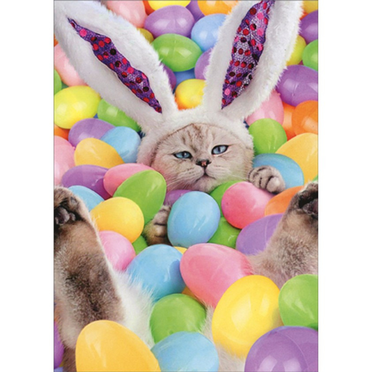 Bunny Cat in Pool of Easter Eggs Humorous, Funny Easter Card