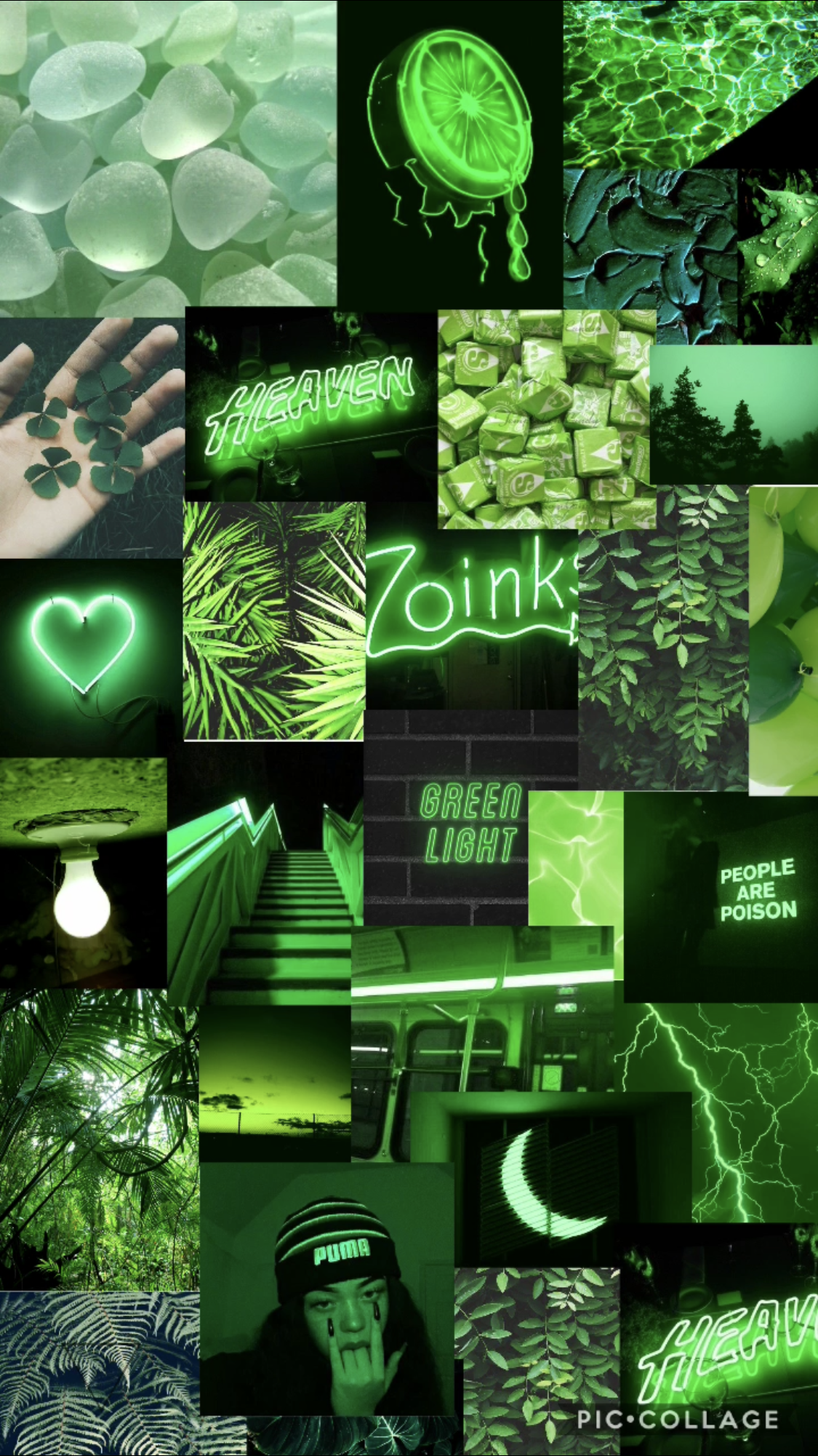 neon green aesthetic  Green aesthetic, Aesthetic collage, Dark