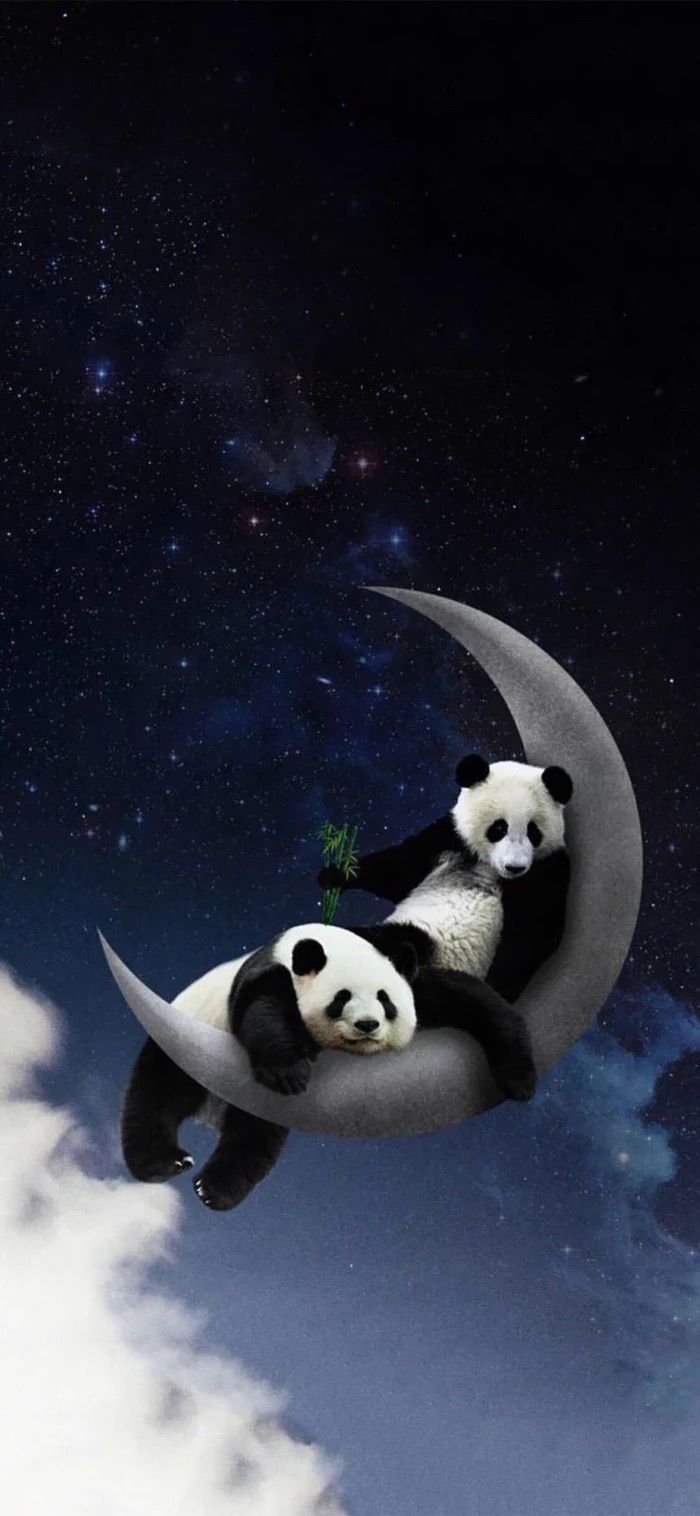 Panda Kawaii  Cute panda wallpaper, Panda wallpaper iphone, Panda  wallpapers
