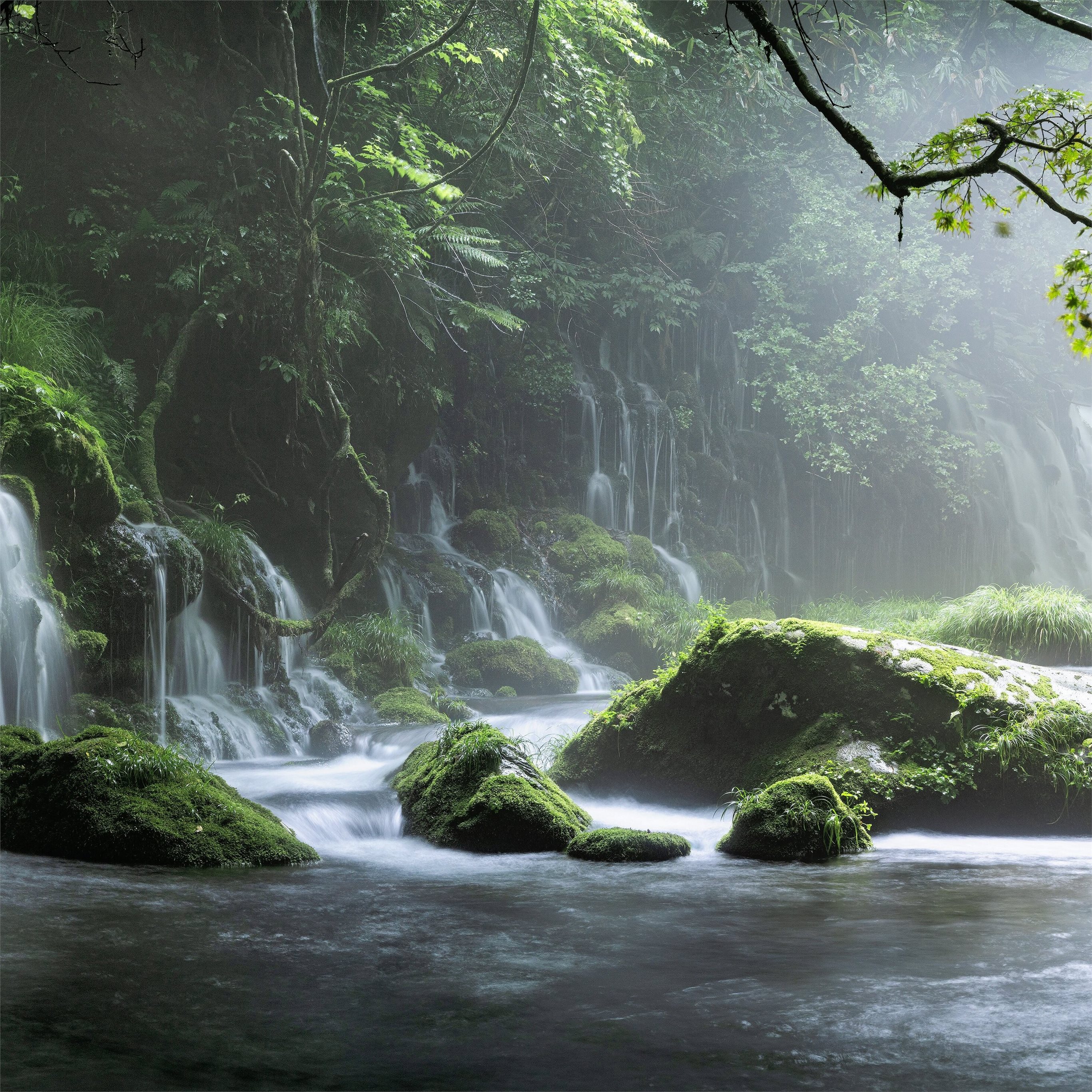 spring waterfall stone fog mist green forest 8k iPad Air Wallpaper Free Download