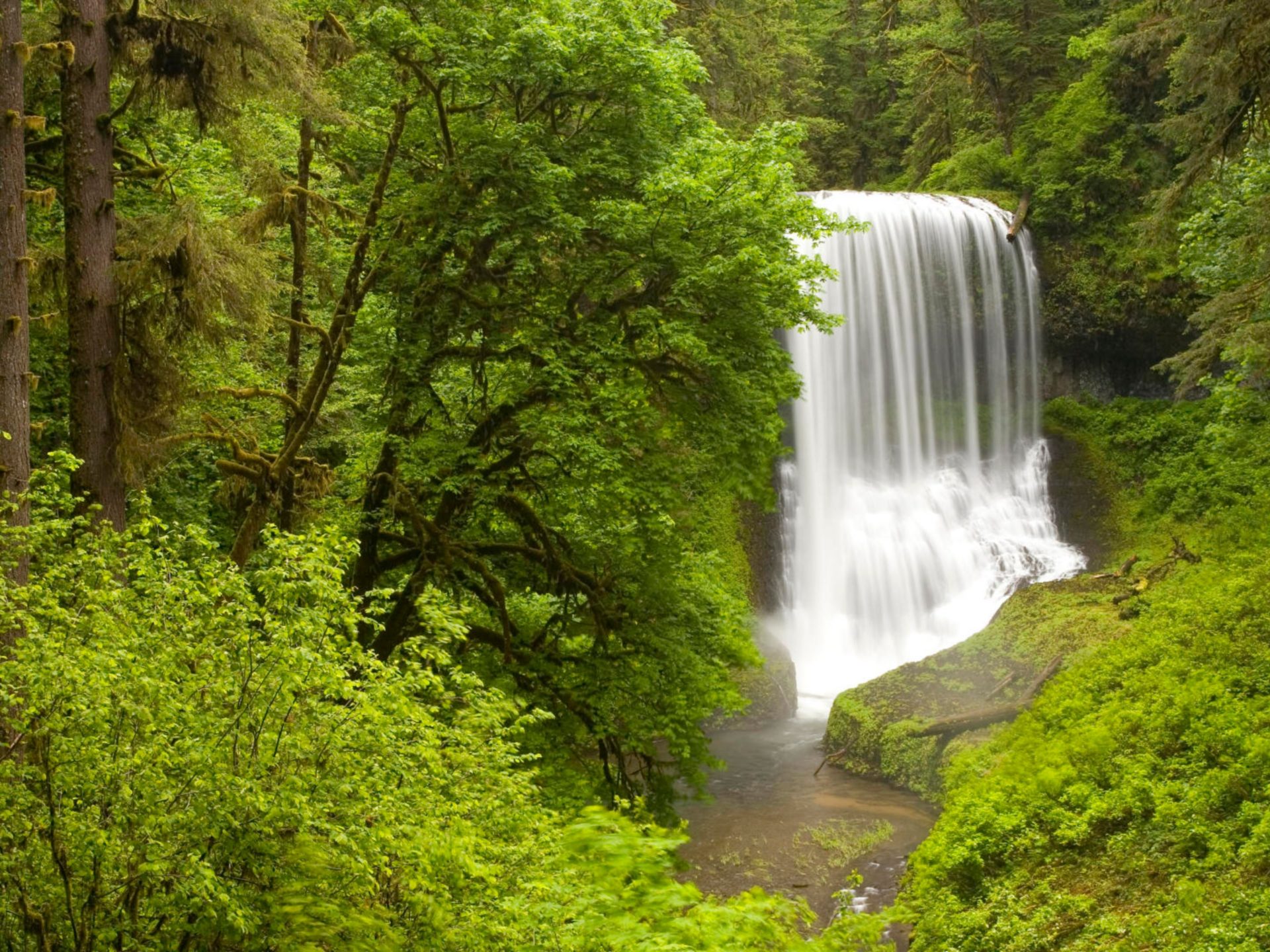 Spring Landscape Nature Waterfall Forest With Green Trees Oregon State Usa Spring 4k Wallpaper 3840x2160, Wallpaper13.com