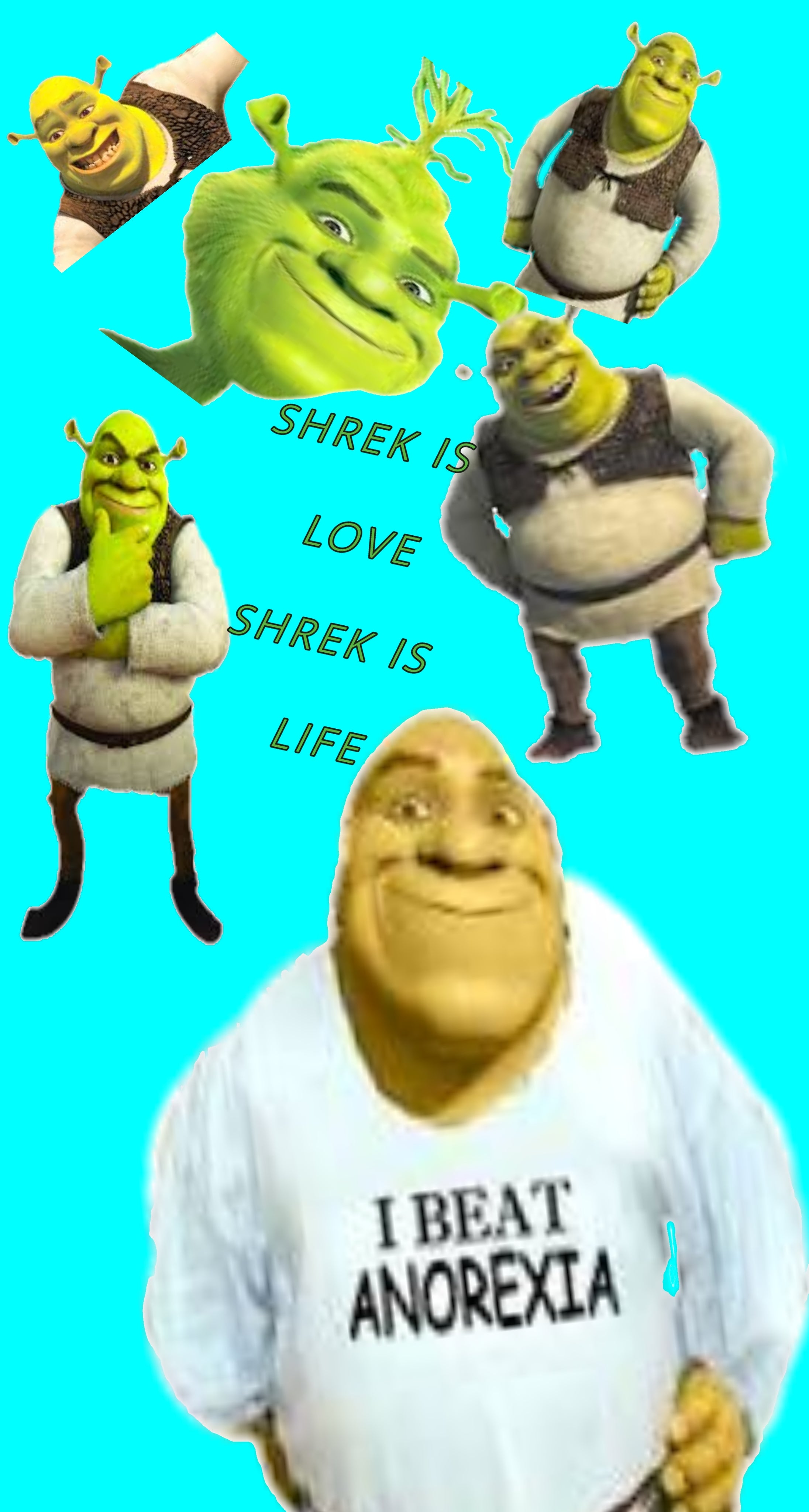 I made a background from random shrek photo I found please don't take any of it too seriously
