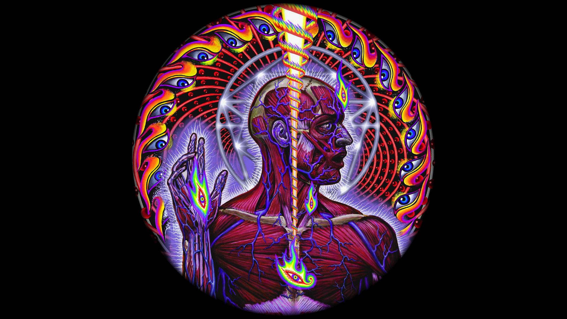 Free Tool Wallpaper Downloads, Tool Wallpaper for FREE