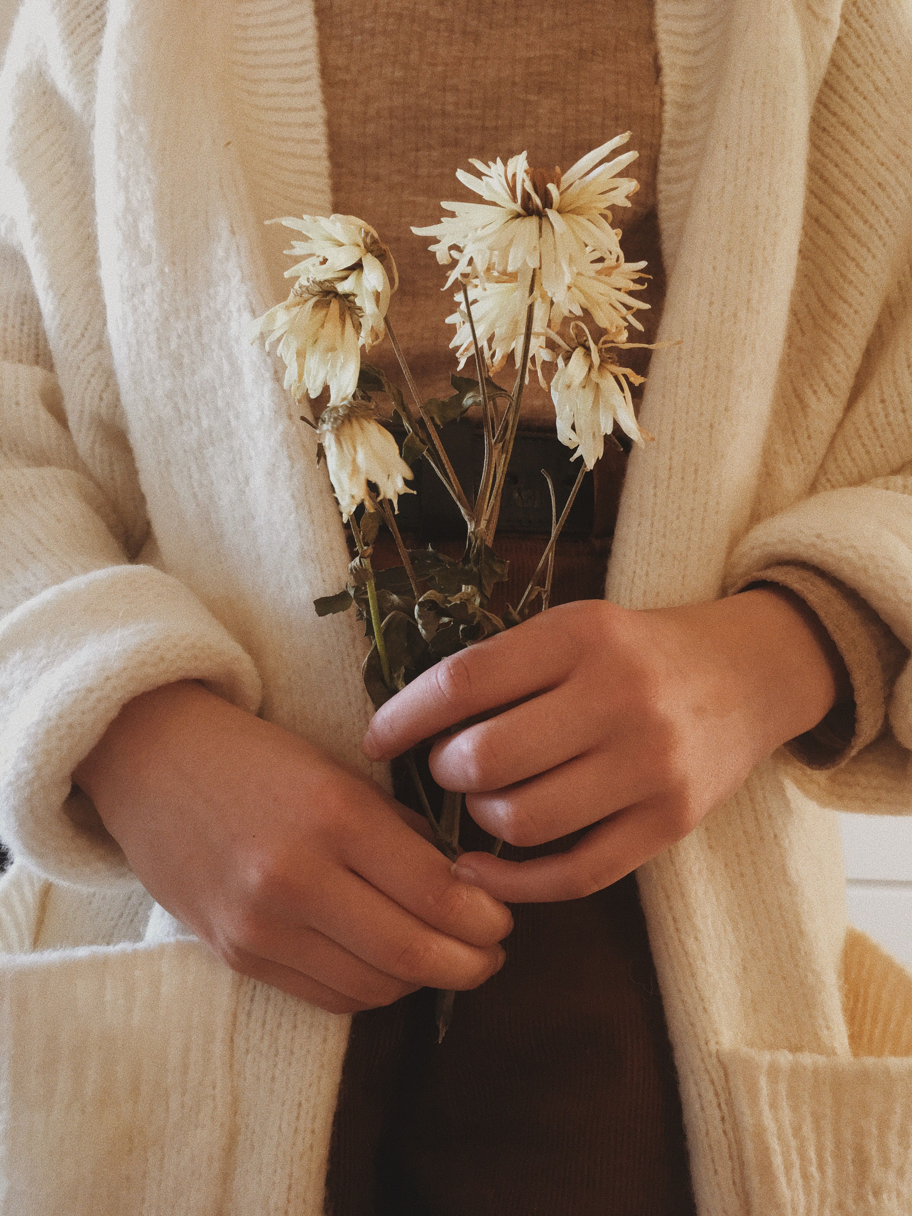 Brown Spring Aesthetic. Vintage photography, Flowers photography wallpaper, Vintage flowers