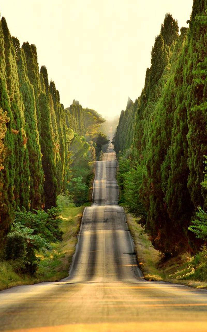 Download High Roads Nature Theme Wallpaper