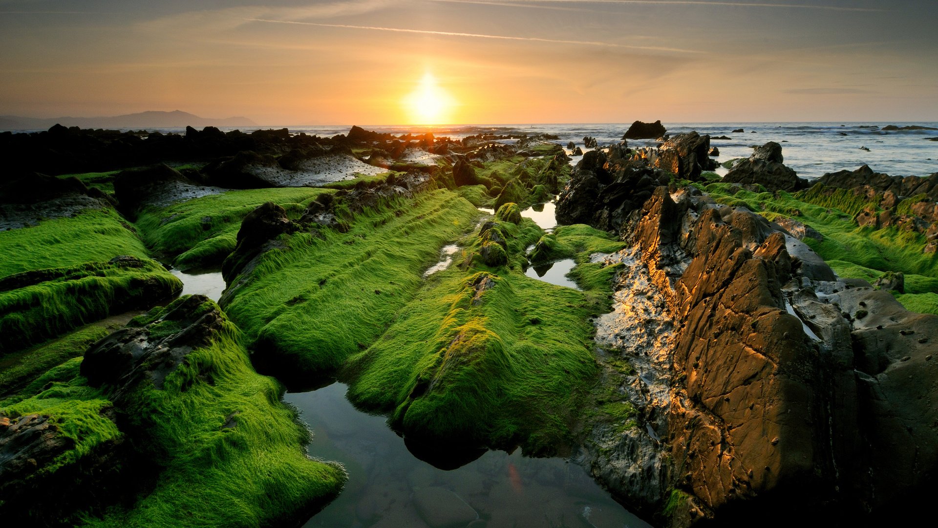 Amazing Sunset Nature Beach Moss Sky Desktop Wallpaper