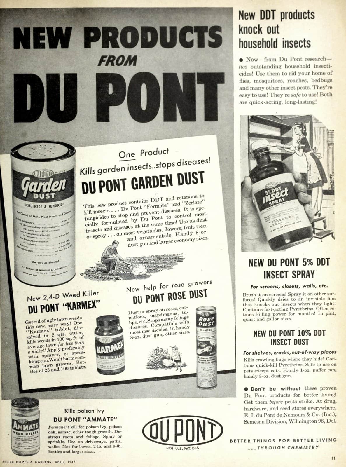 DDT: The dangerous old insecticide that used to be everywhere embedded in wallpaper
