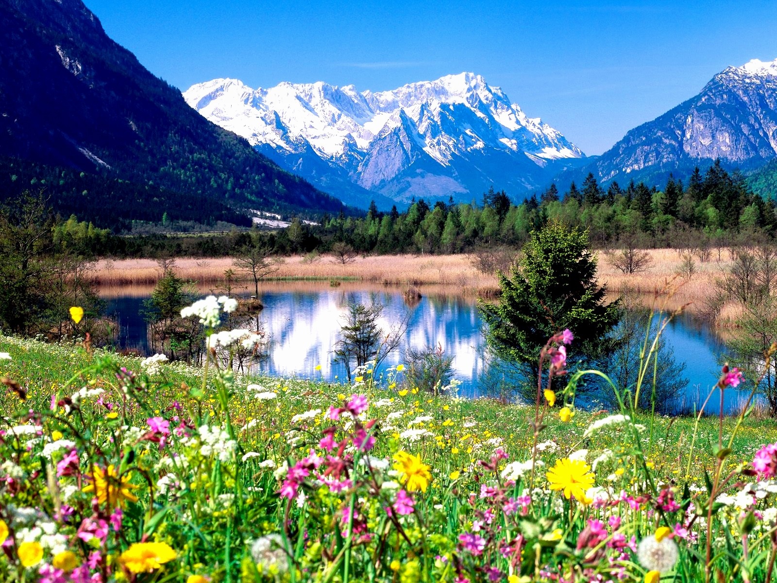 Flower lake Lovely Spring Landscape wallpaperx1200