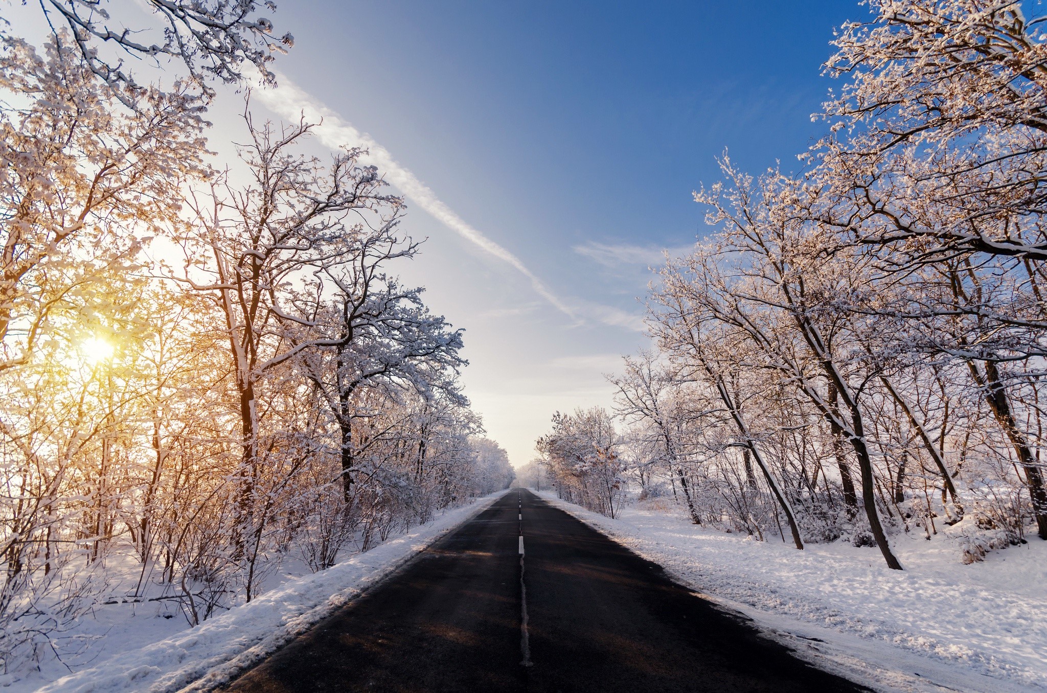 trees, long road, snow, sunlight, winter, asphalt, road, outdoors, calm Gallery HD Wallpaper