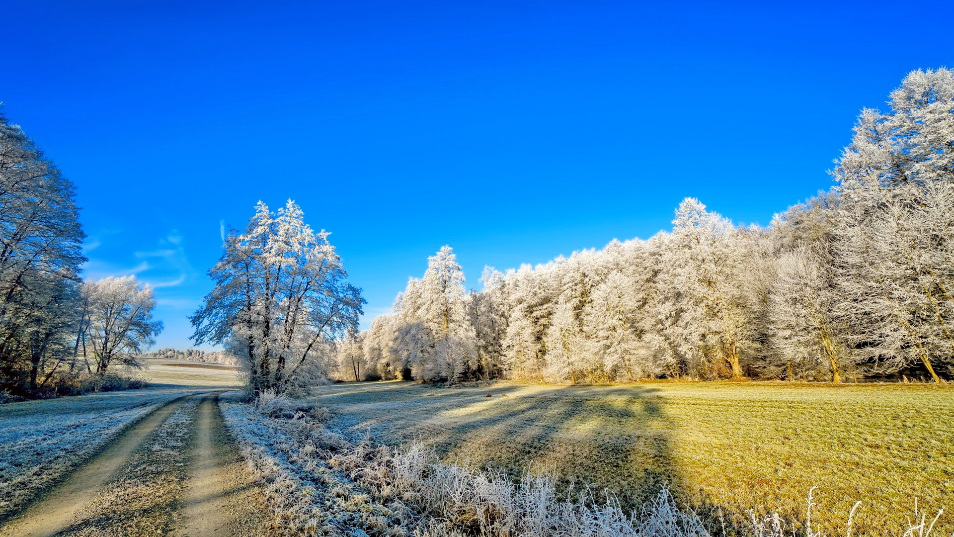 beautiful, trees, sky, winter, cold, snow, road, scenery, landscape, frost Gallery HD Wallpaper