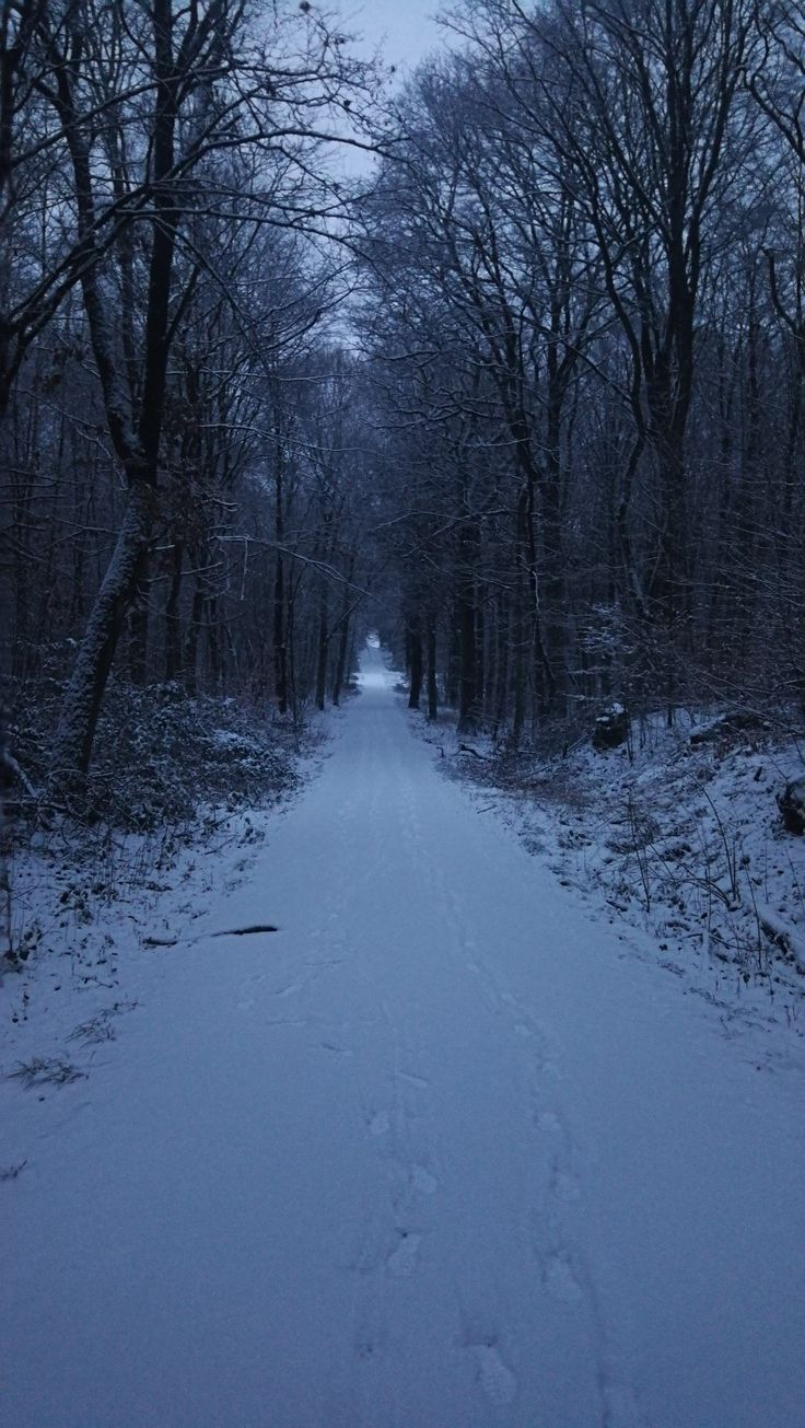 winter. Landscape photography nature, Winter scenery, Fantasy landscape