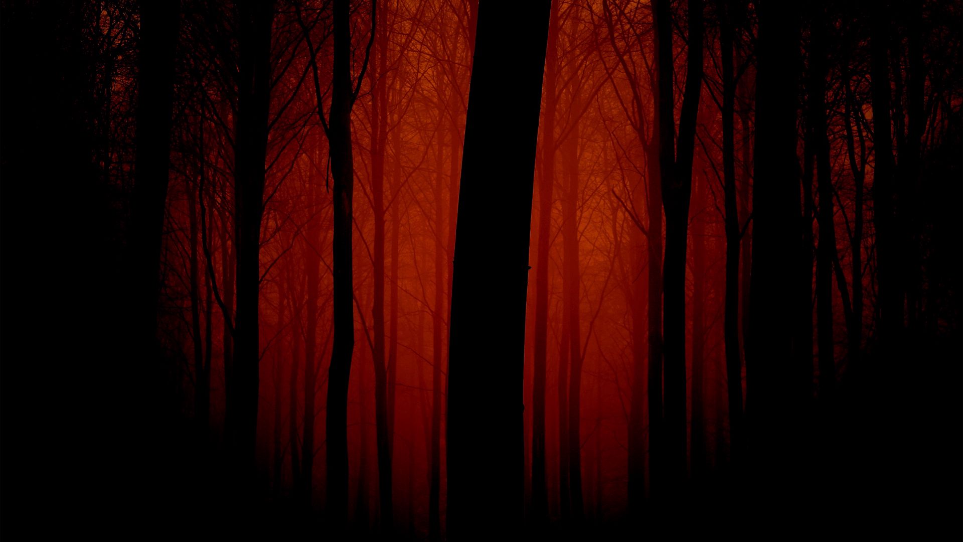 Download wallpaper 1920x1080 trees, outlines, evening, red, fog, light full hd, hdtv, fhd, 1080p HD background