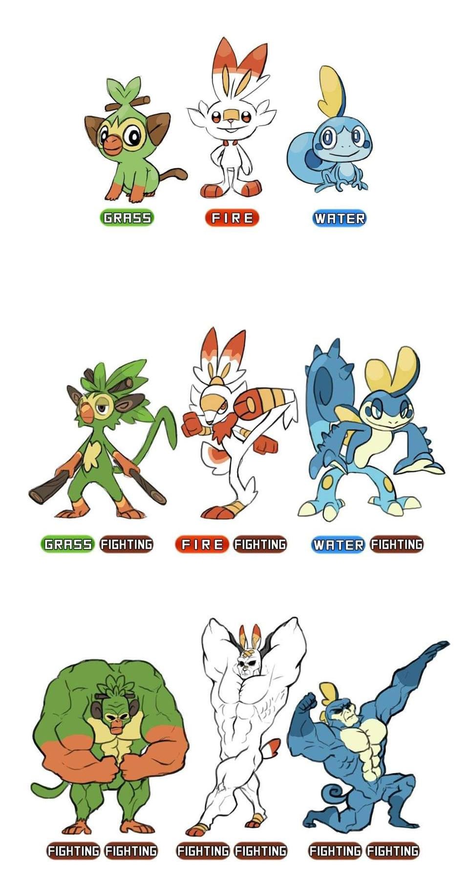 Gen 8 Starter Evolutions. Pokémon Sword and Shield. Pokemon starter evolutions, New pokemon starters, Pokemon funny