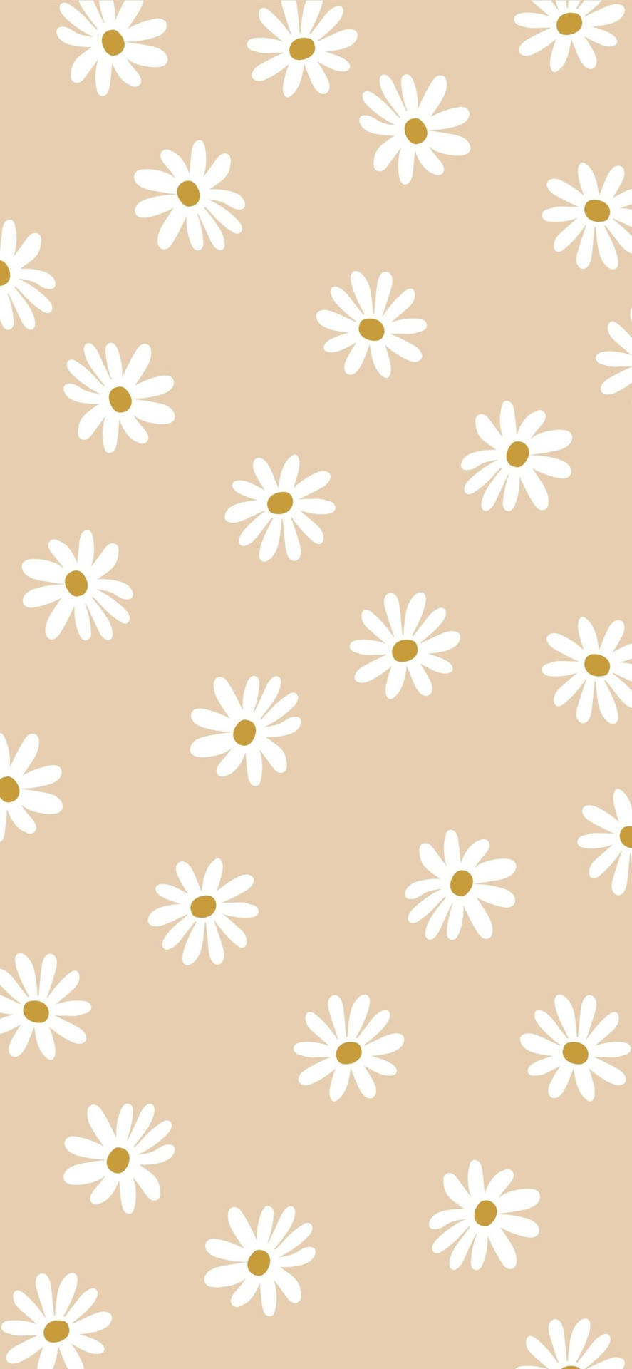 Download Beige Aesthetic Phone With Daisy Flowers Wallpaper