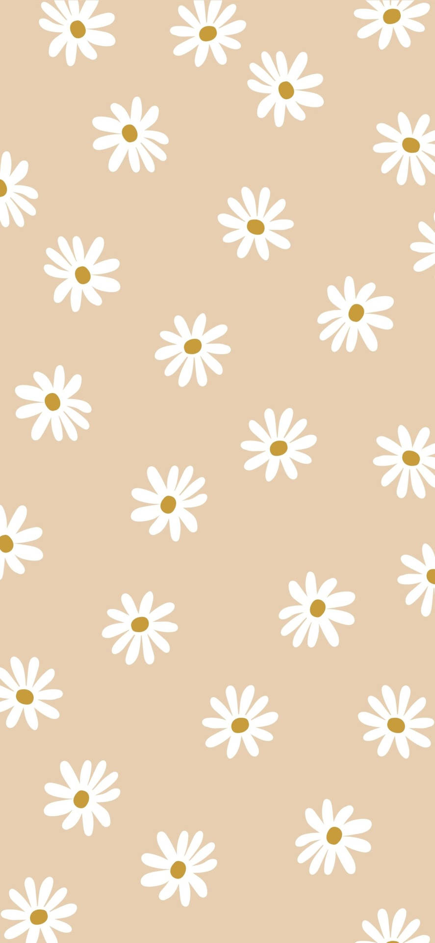 Beige Flower Wallpapers - Wallpaper Cave