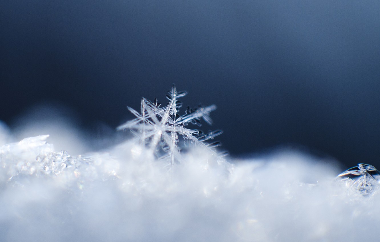 Wallpaper crystal, macro, snow, pattern, snowflake image for desktop, section макро