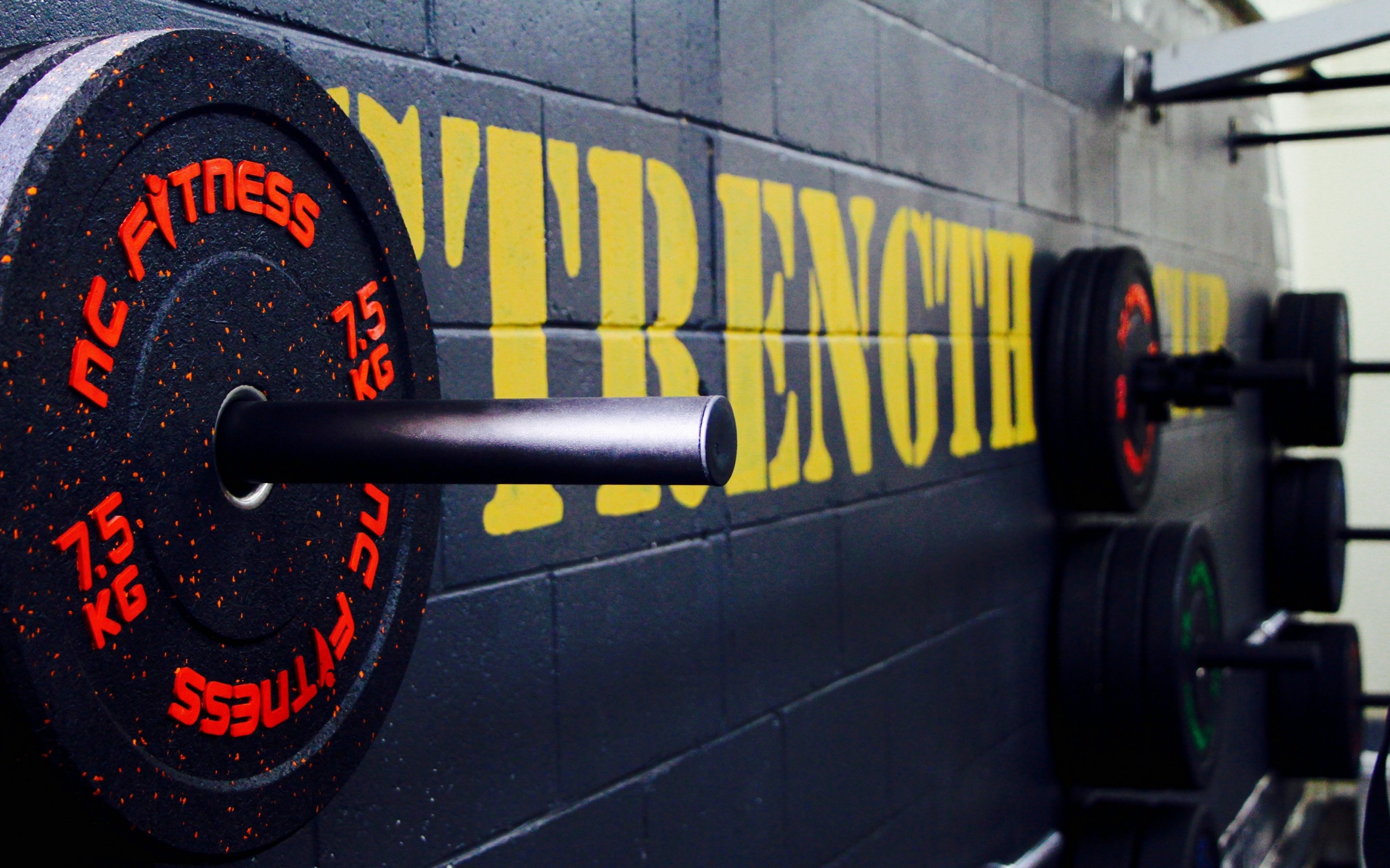 Wallpaper 4k gym, disks, weight, bodybuilding 4k Wallpaper