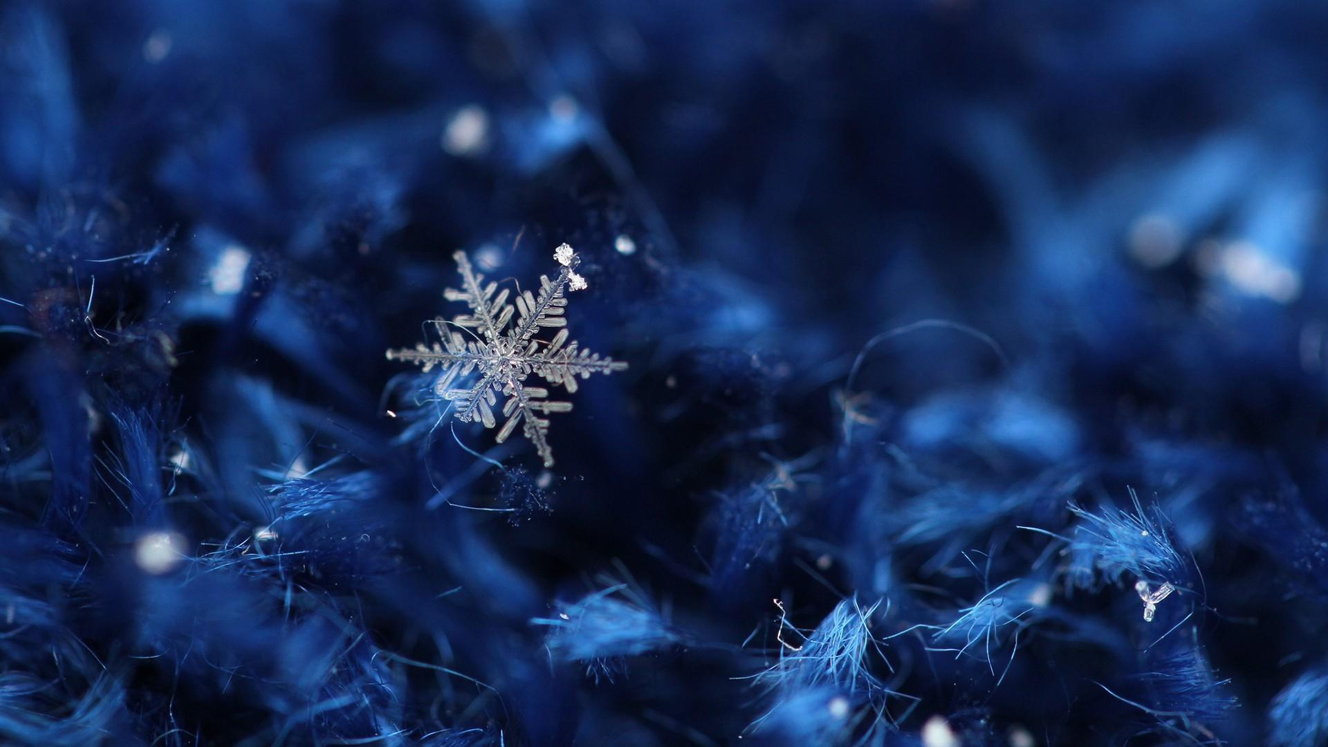 Ice Crystals Wallpaper