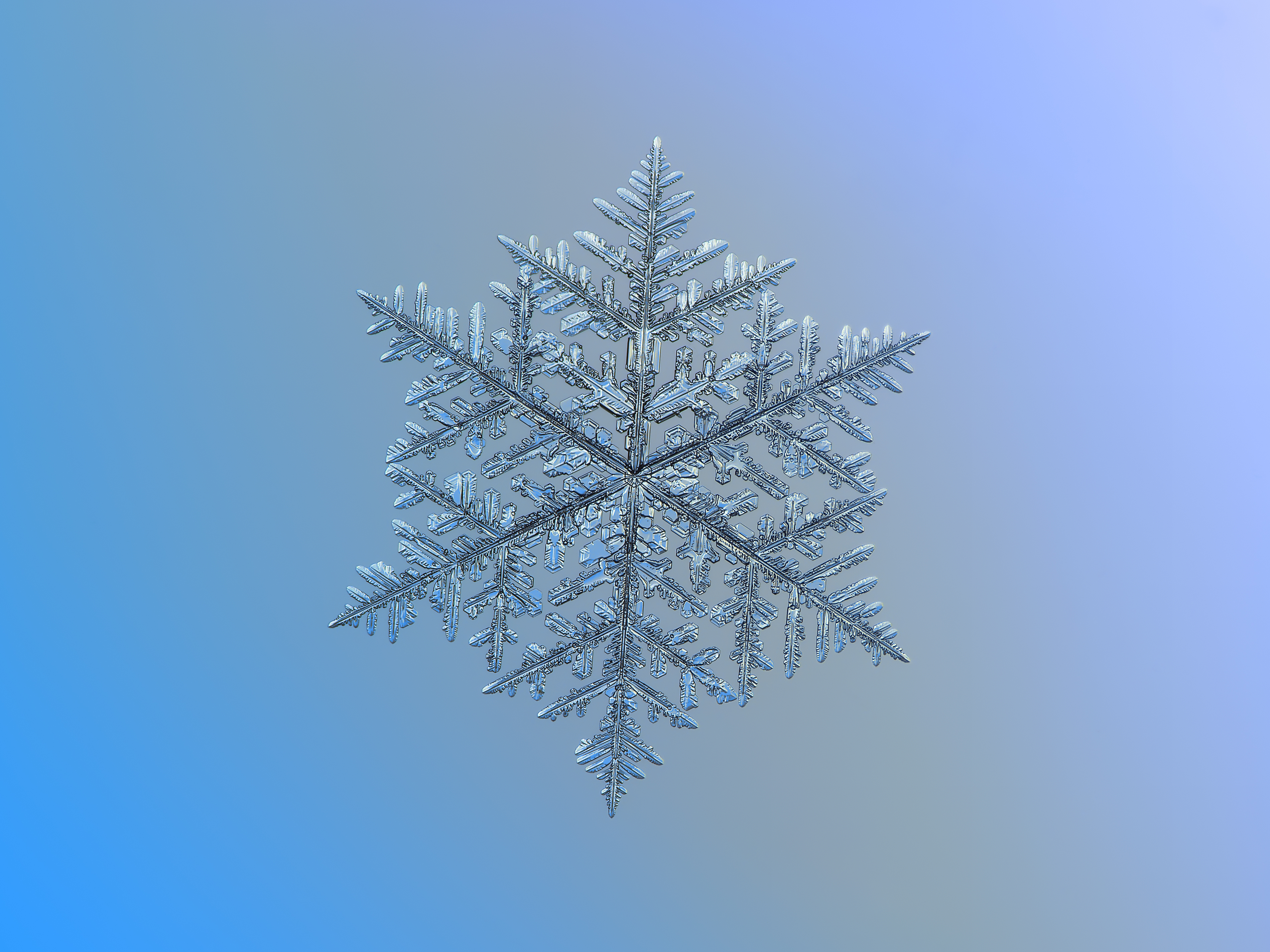 QHD(1440p) and HD(1080p) snowflake wallpaper in time for the holidays