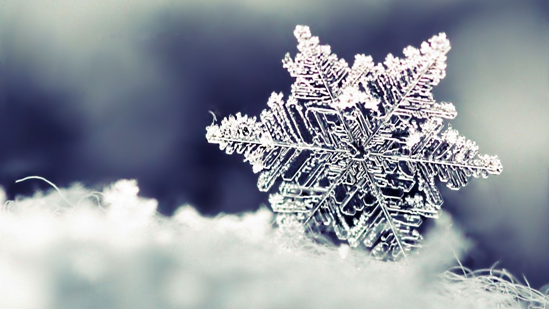 The science of snowflakes of Edinburgh Science Media
