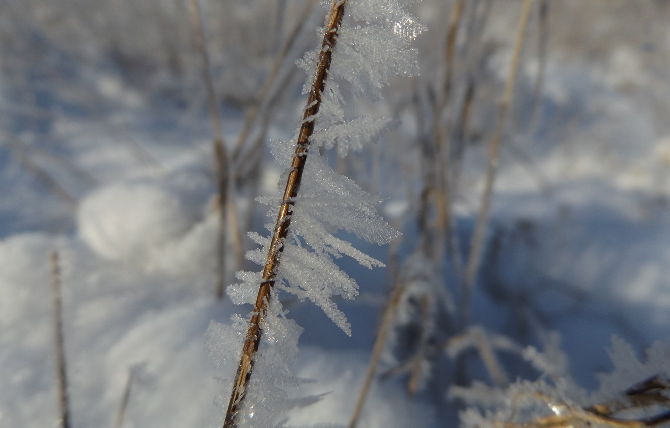 Snow Crystal Wallpapers - Wallpaper Cave