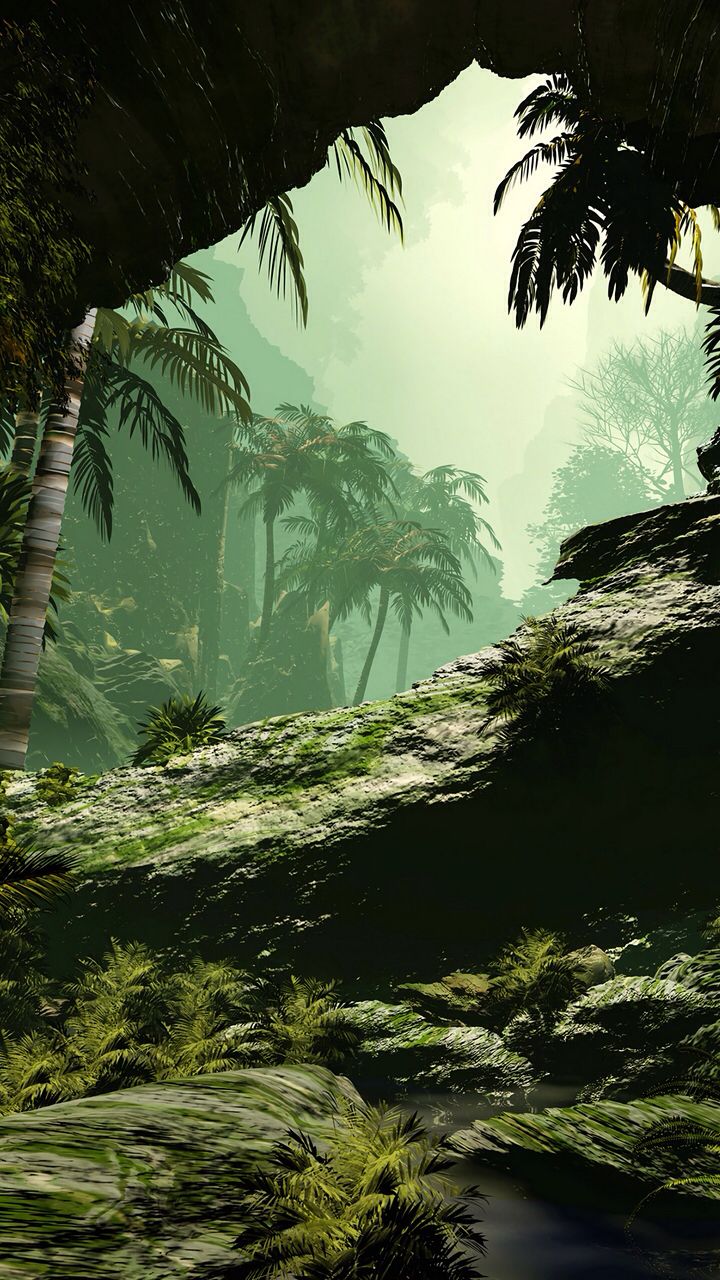 9:16 Phone. Jungle wallpaper, Jungle art, Palm trees wallpaper