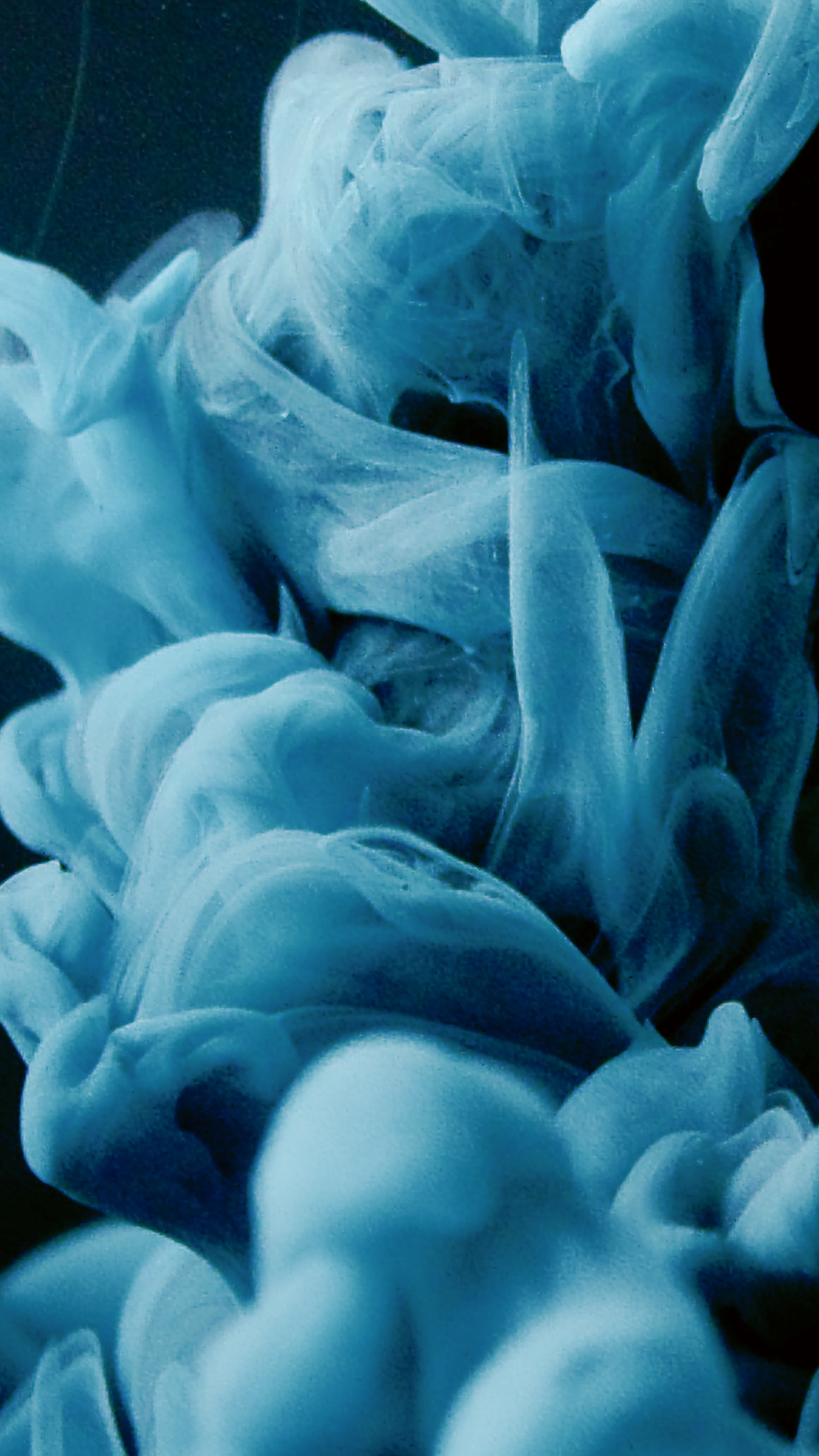 Opaque Photo, Download The BEST Free Opaque & HD Image